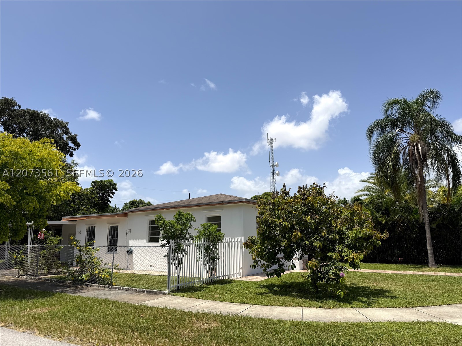 Miami photo 4
