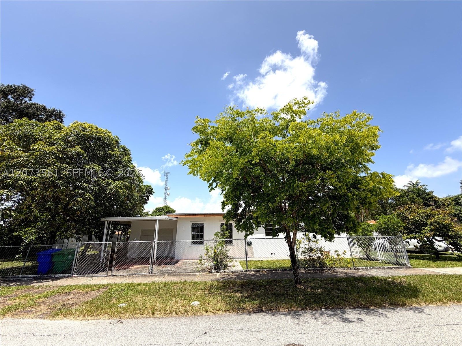 Miami photo 5