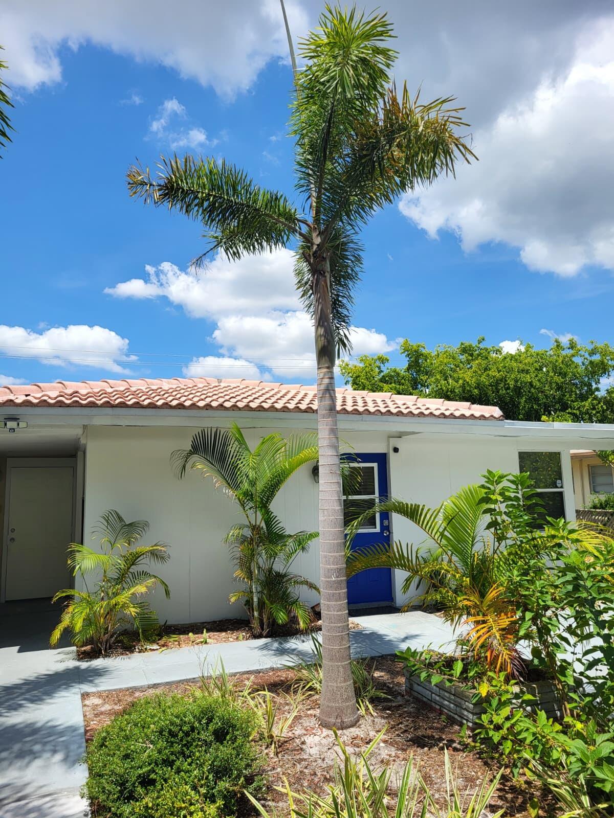 Fort Lauderdale photo 5