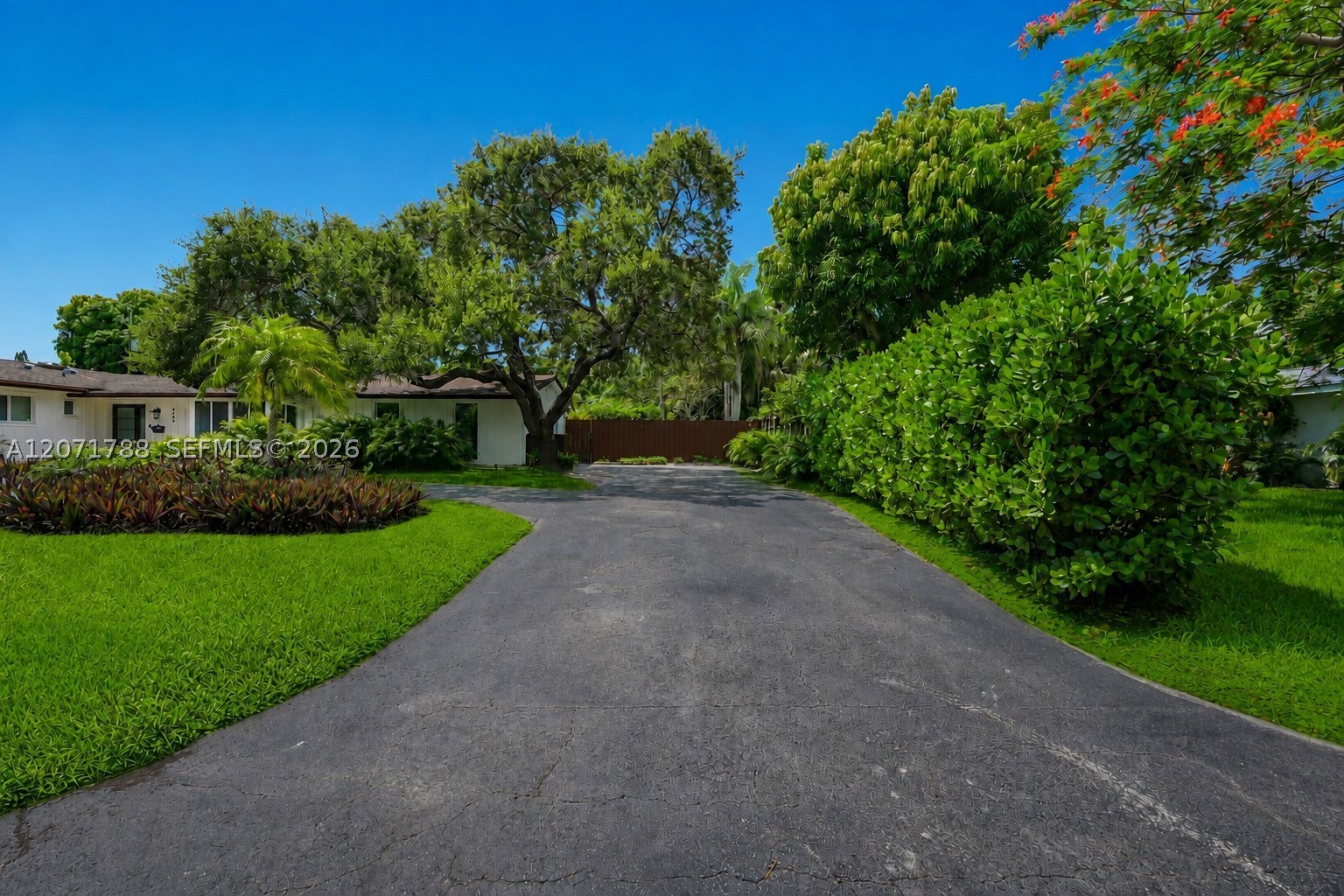 Palmetto Bay photo 3