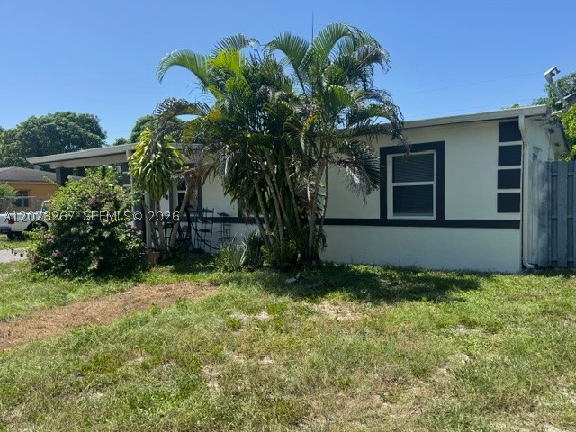 Miami photo 3