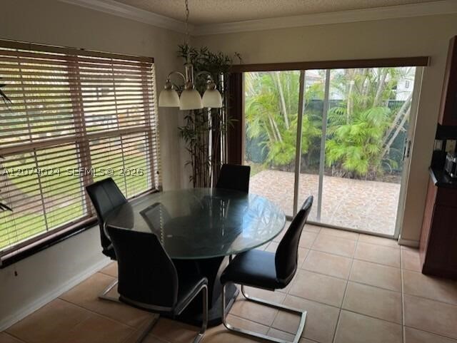 Pembroke Pines photo 4