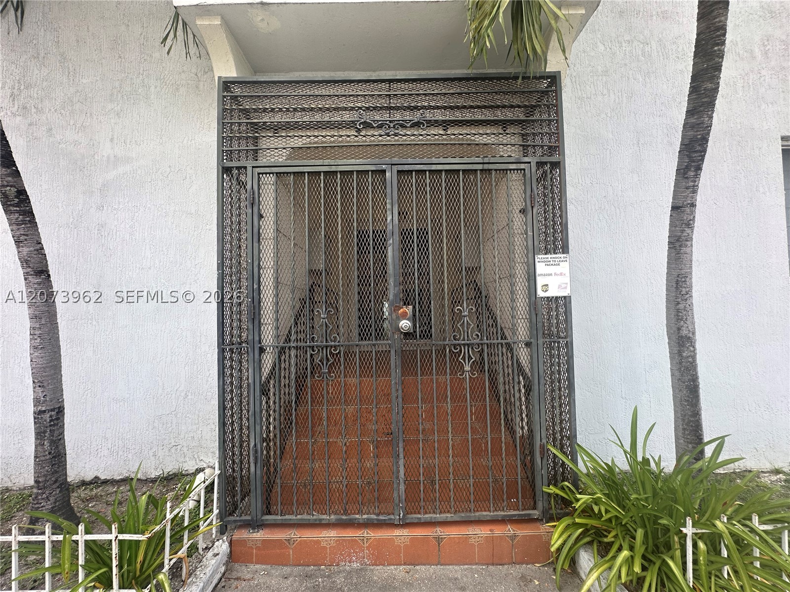 Miami photo 3