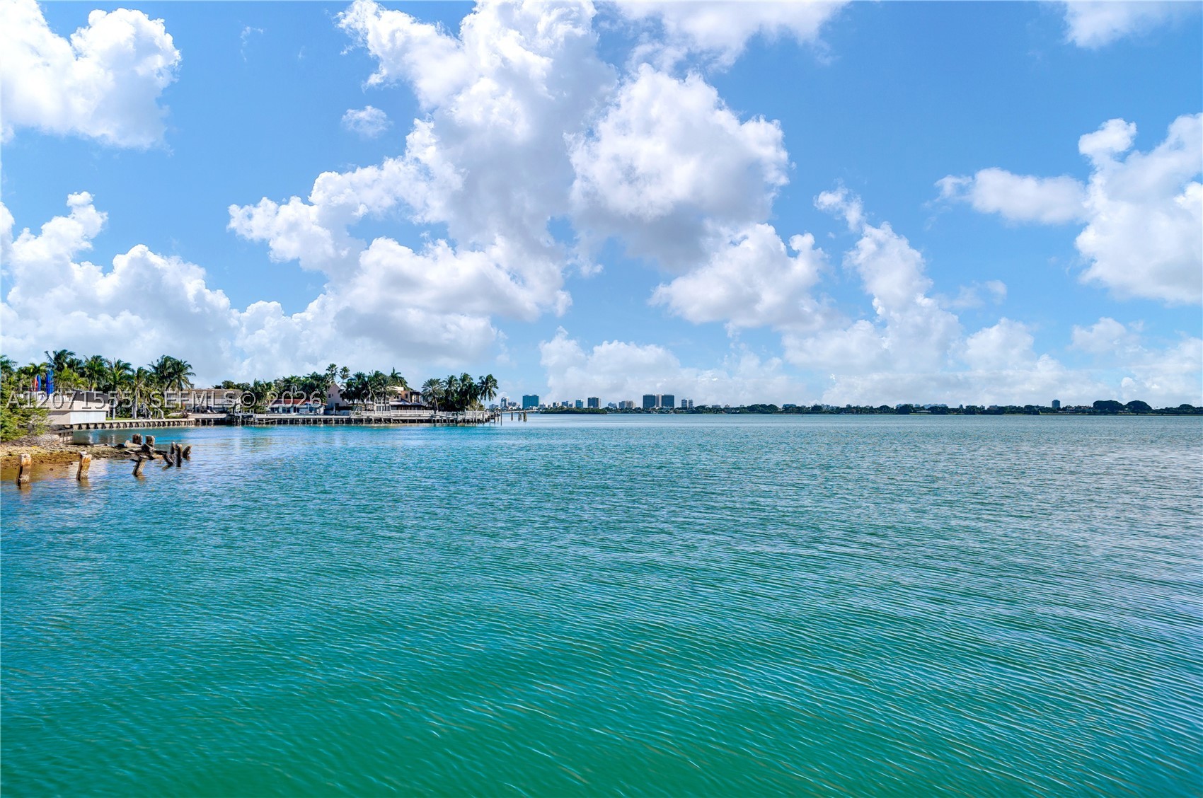 Miami photo 1