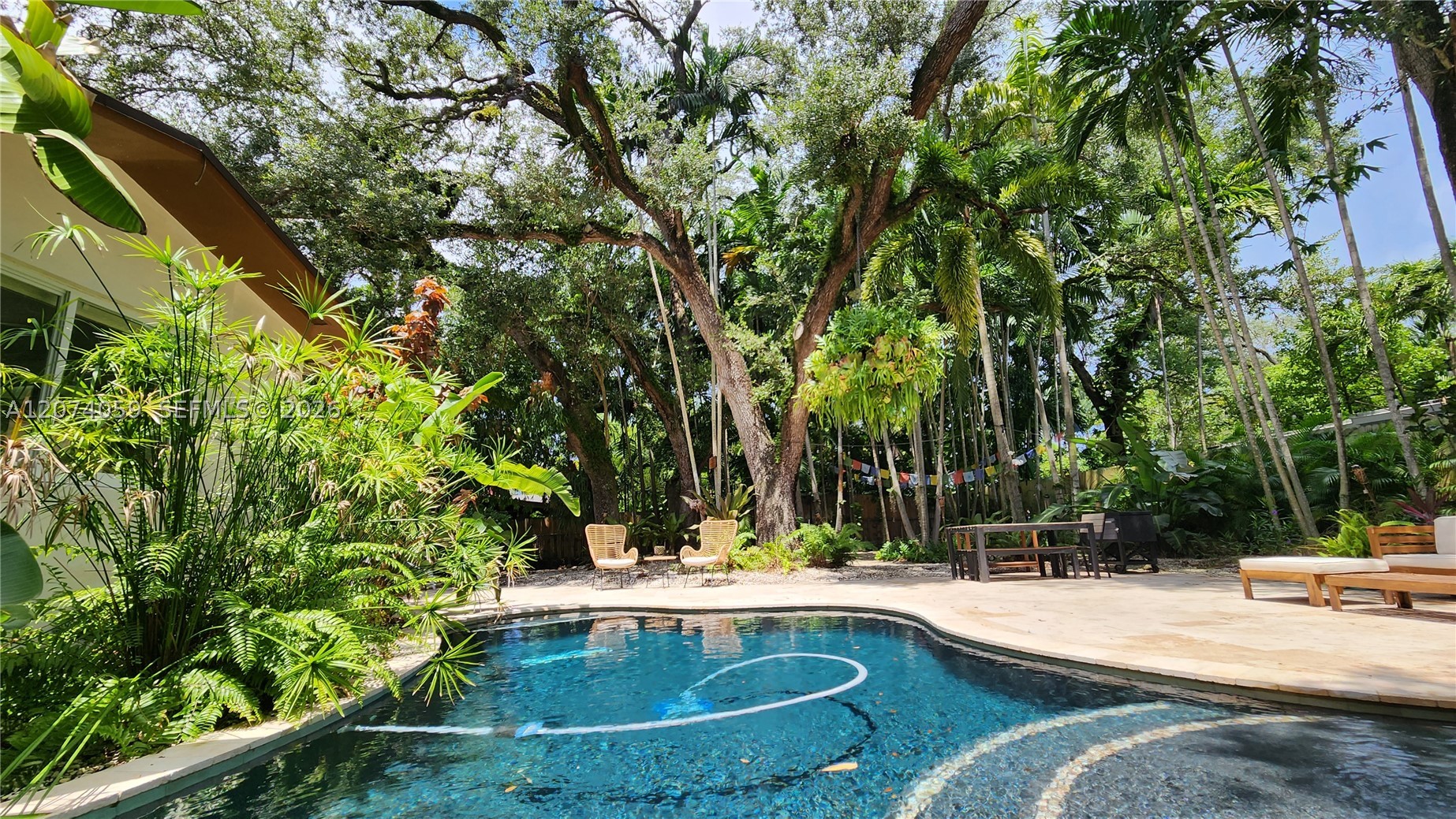 North Miami photo 5
