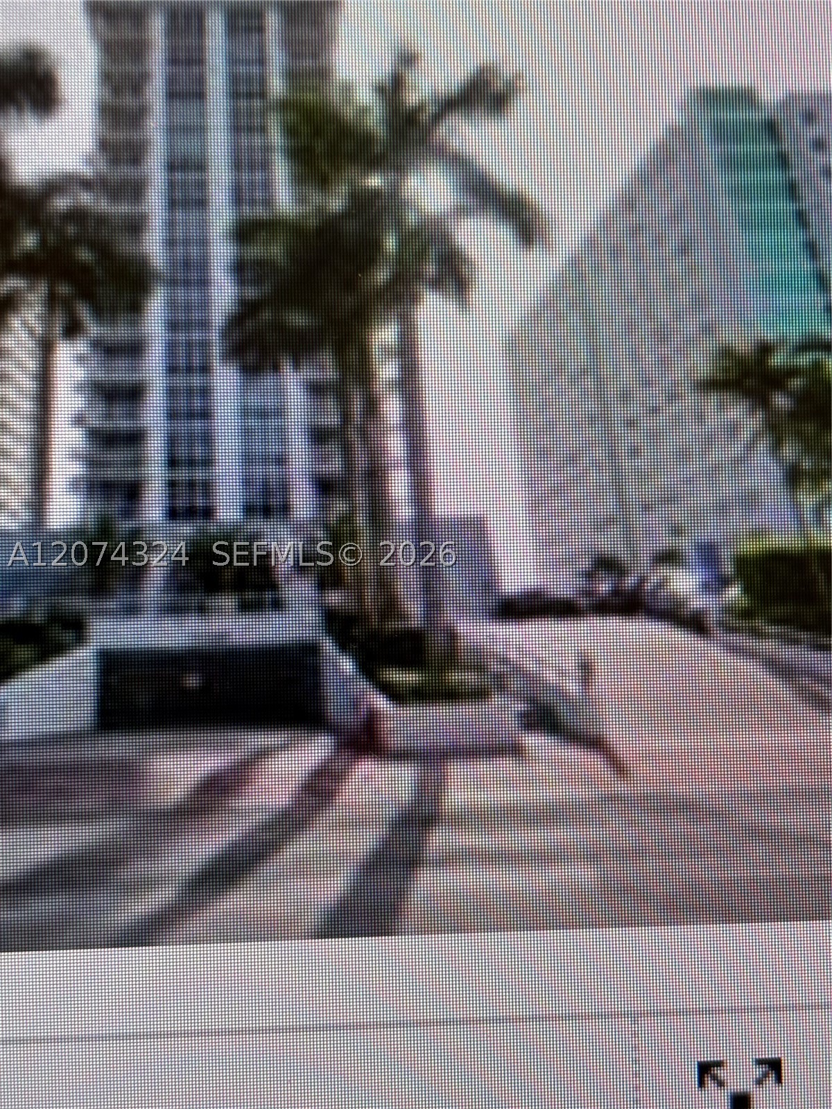 Miami Beach photo 3