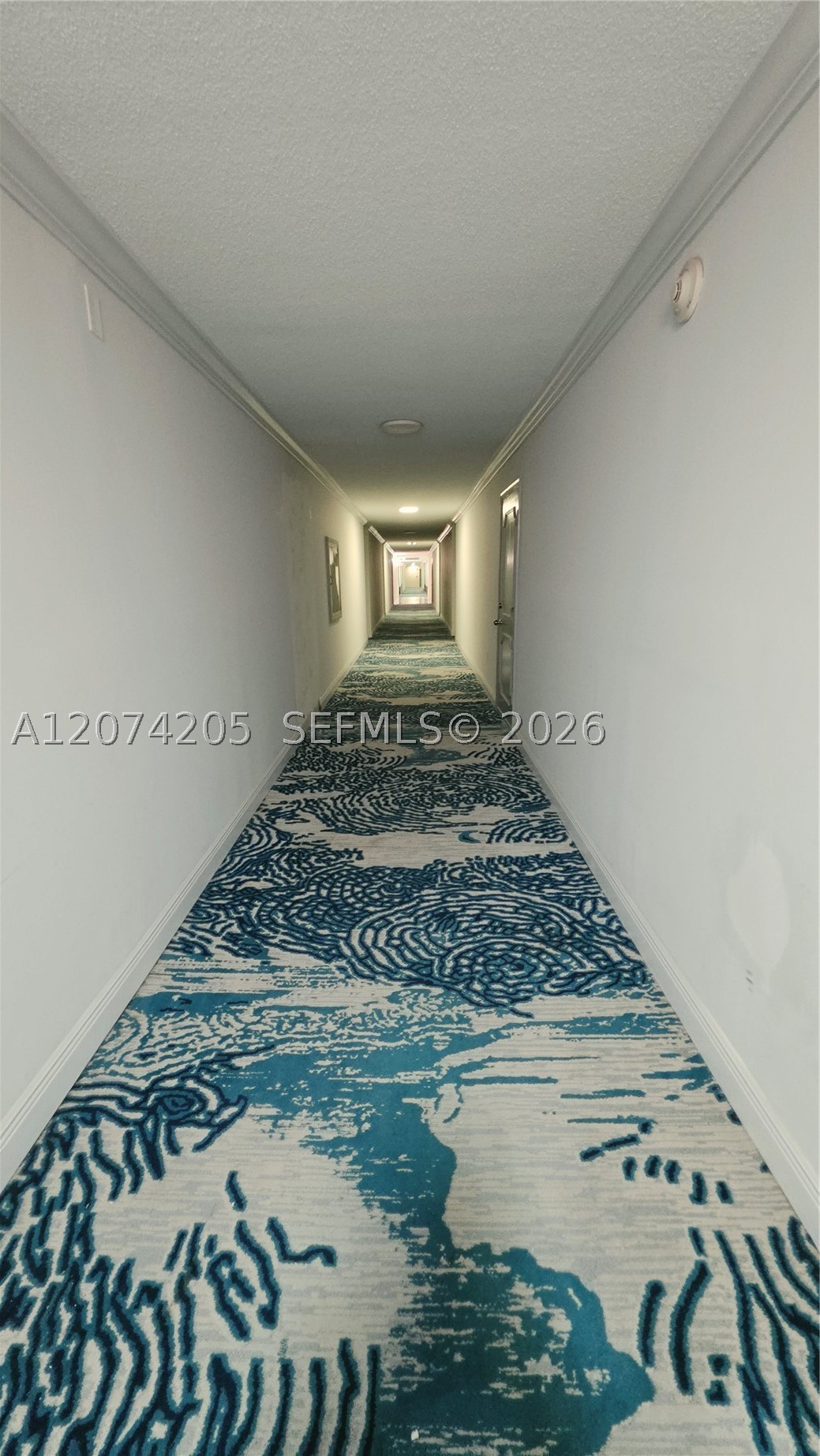 Hallandale Beach photo 4