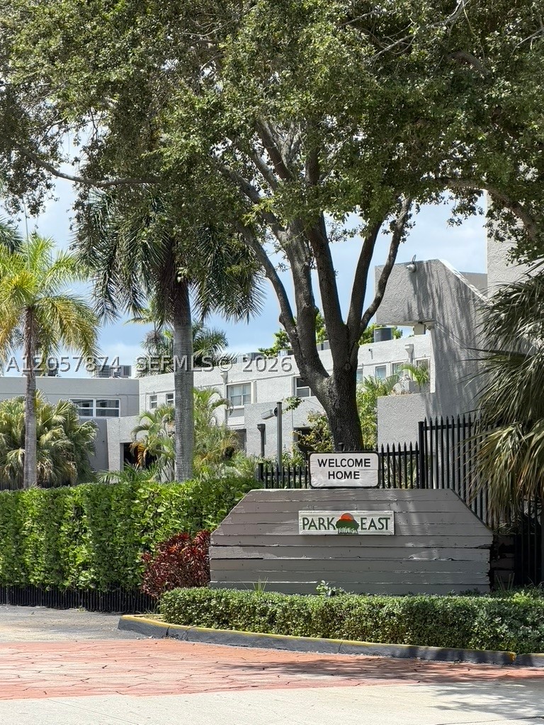 Miami photo 1