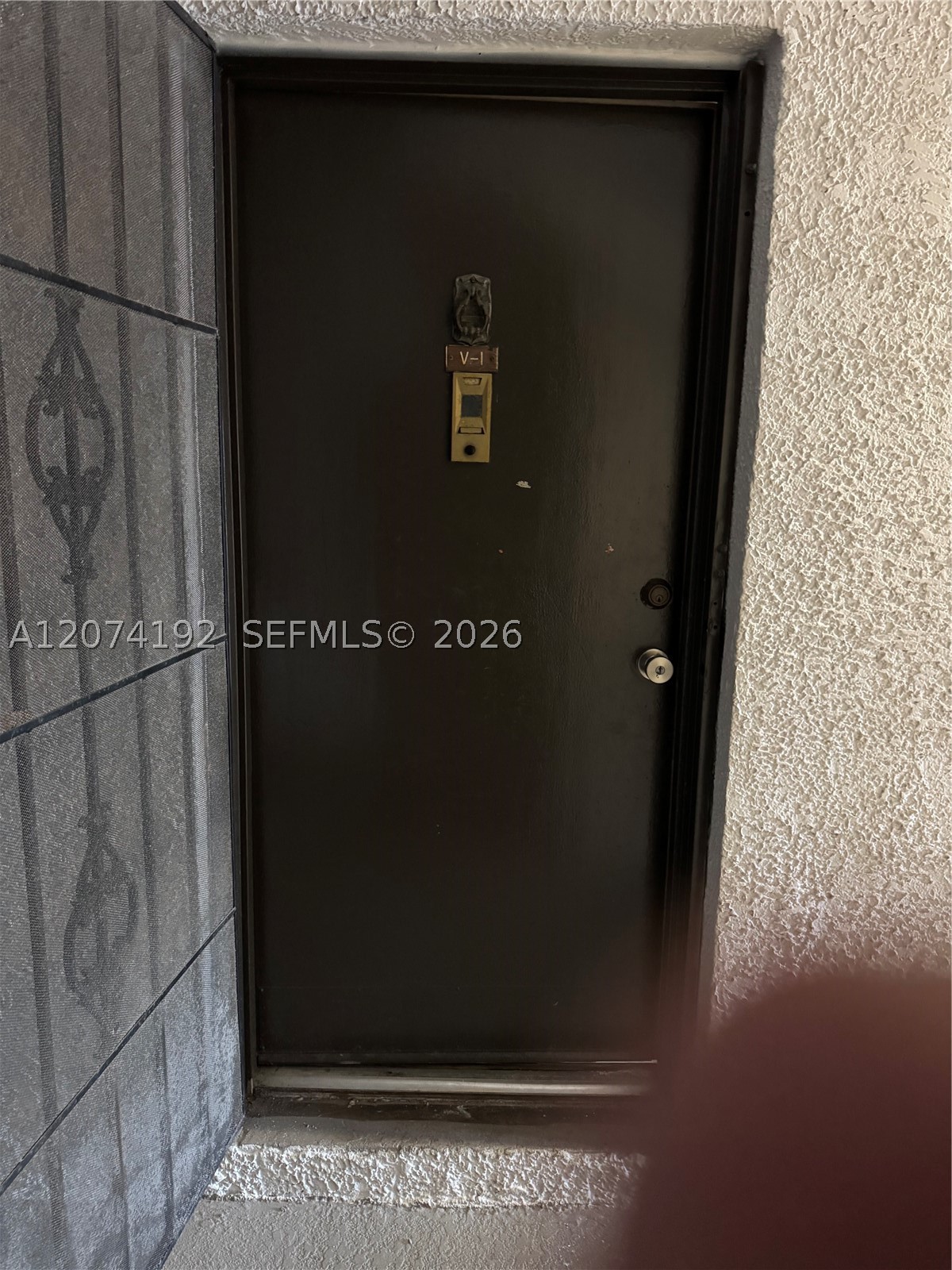 Miami photo 2