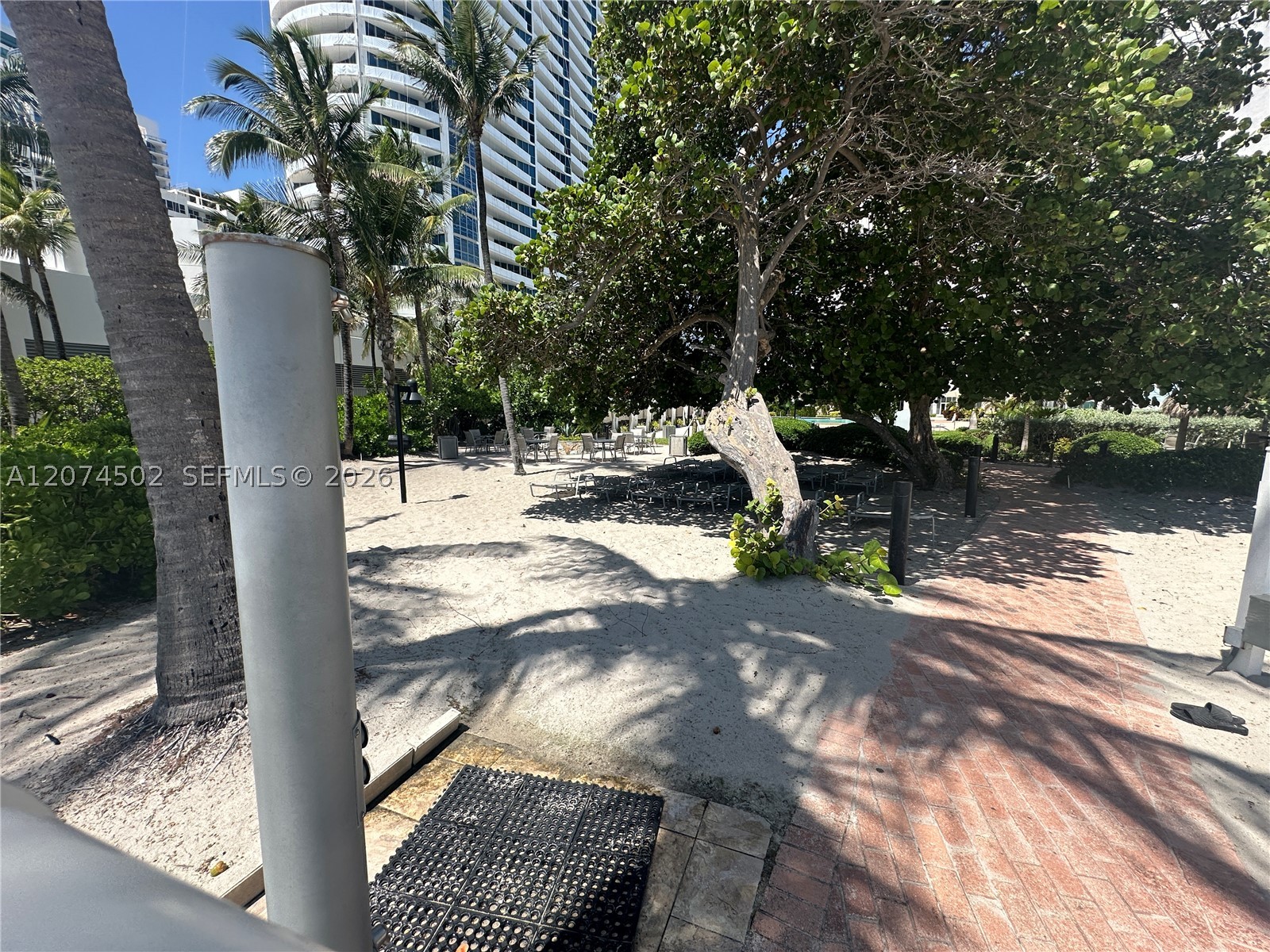 Hollywood photo 5