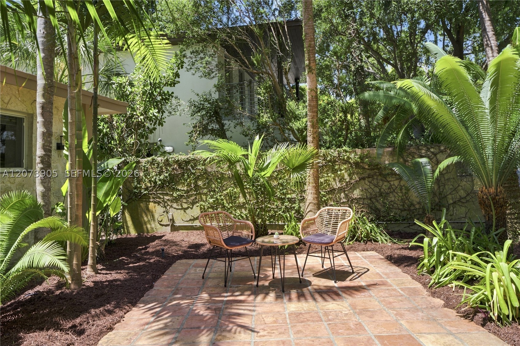 Miami photo 5