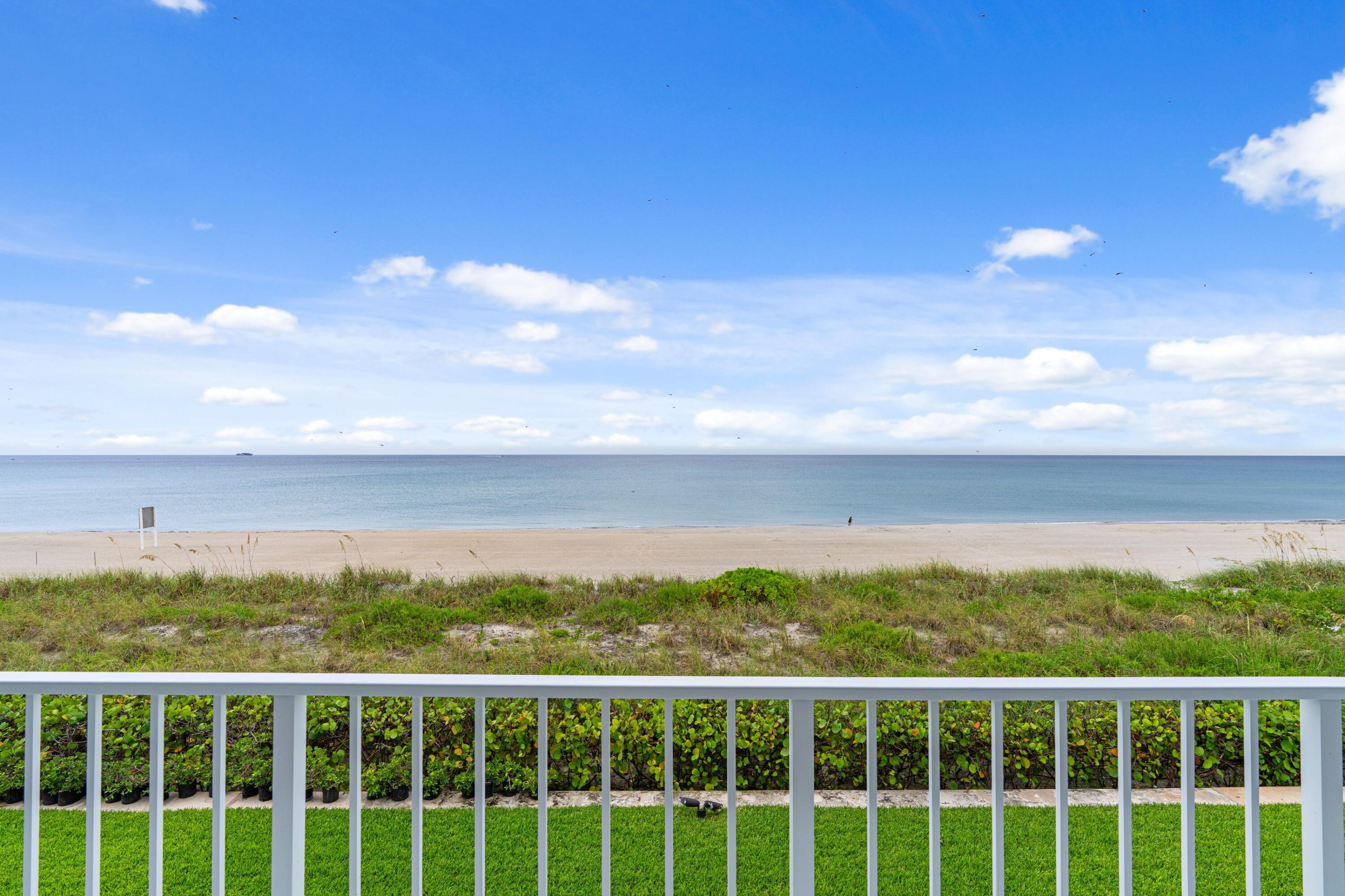 Palm Beach photo 2