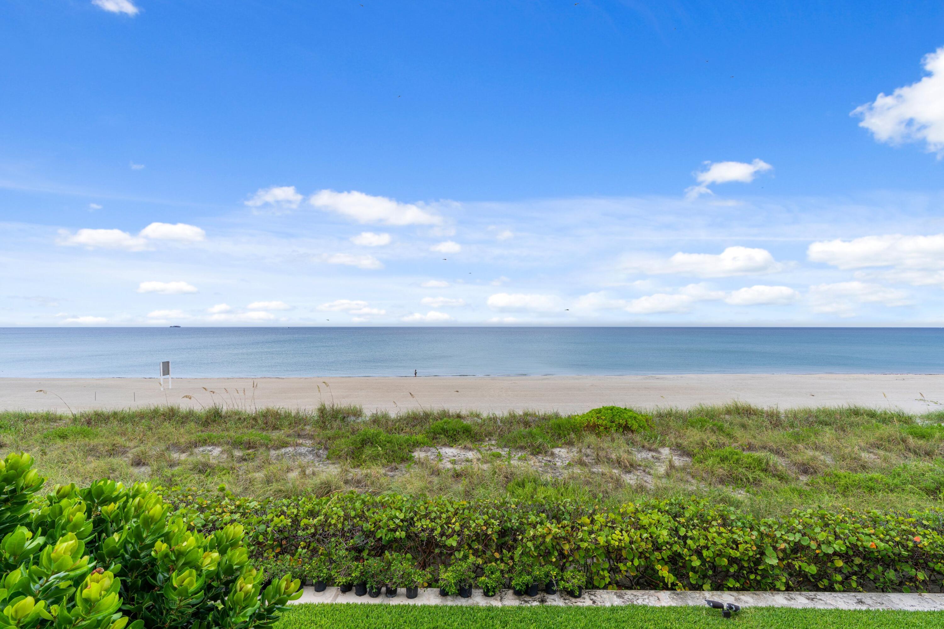 Palm Beach photo 3