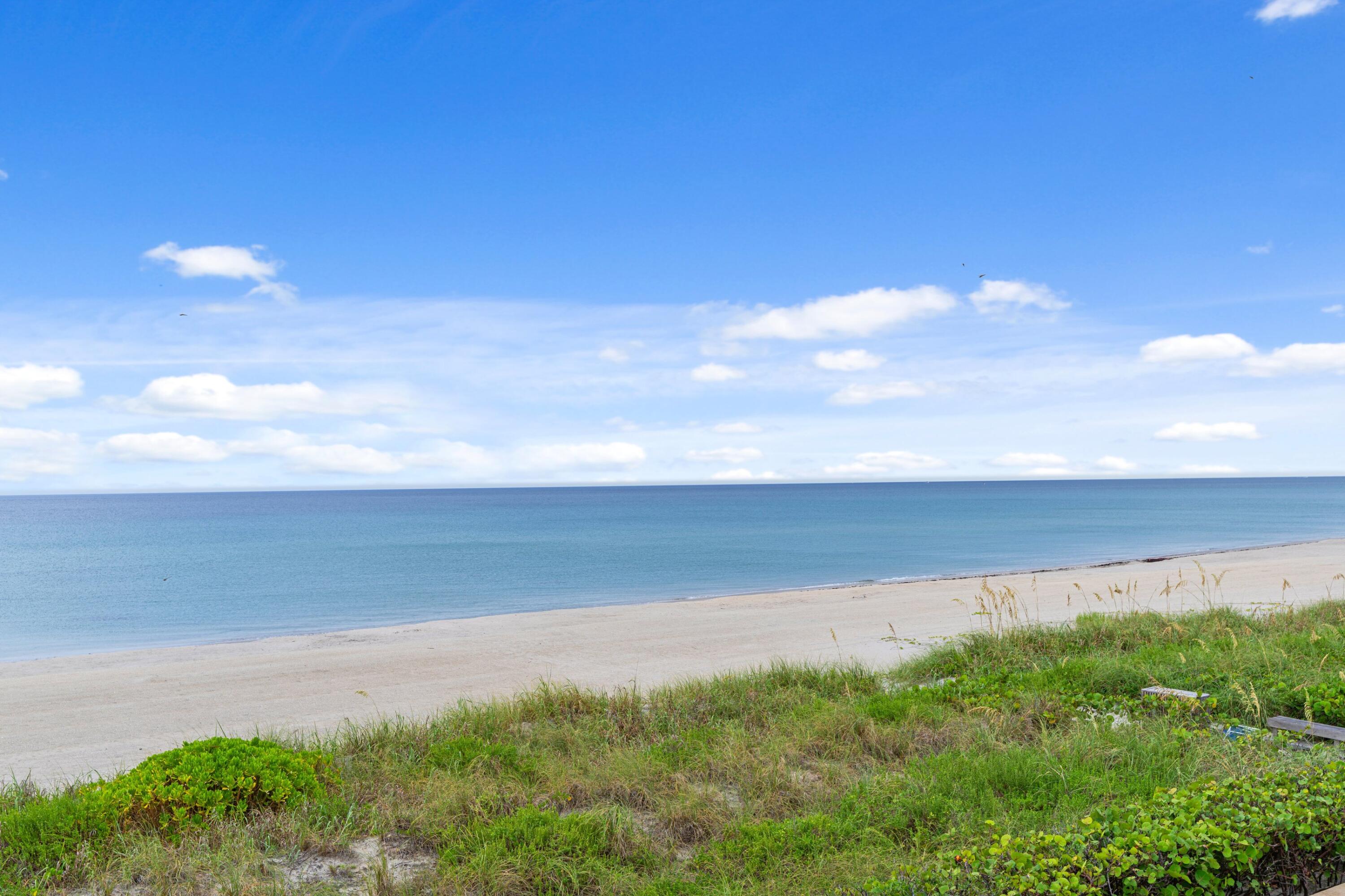Palm Beach photo 4