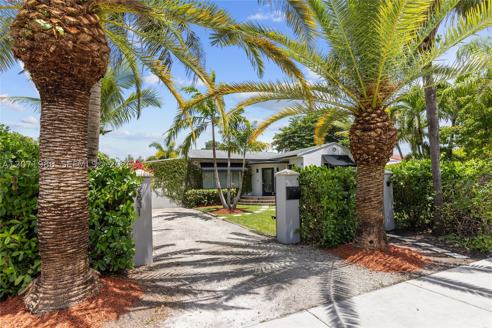 Miami photo 2