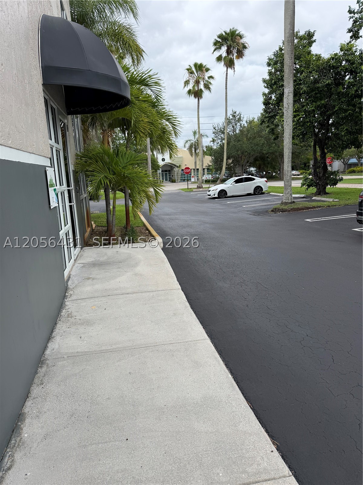 Miami photo 3