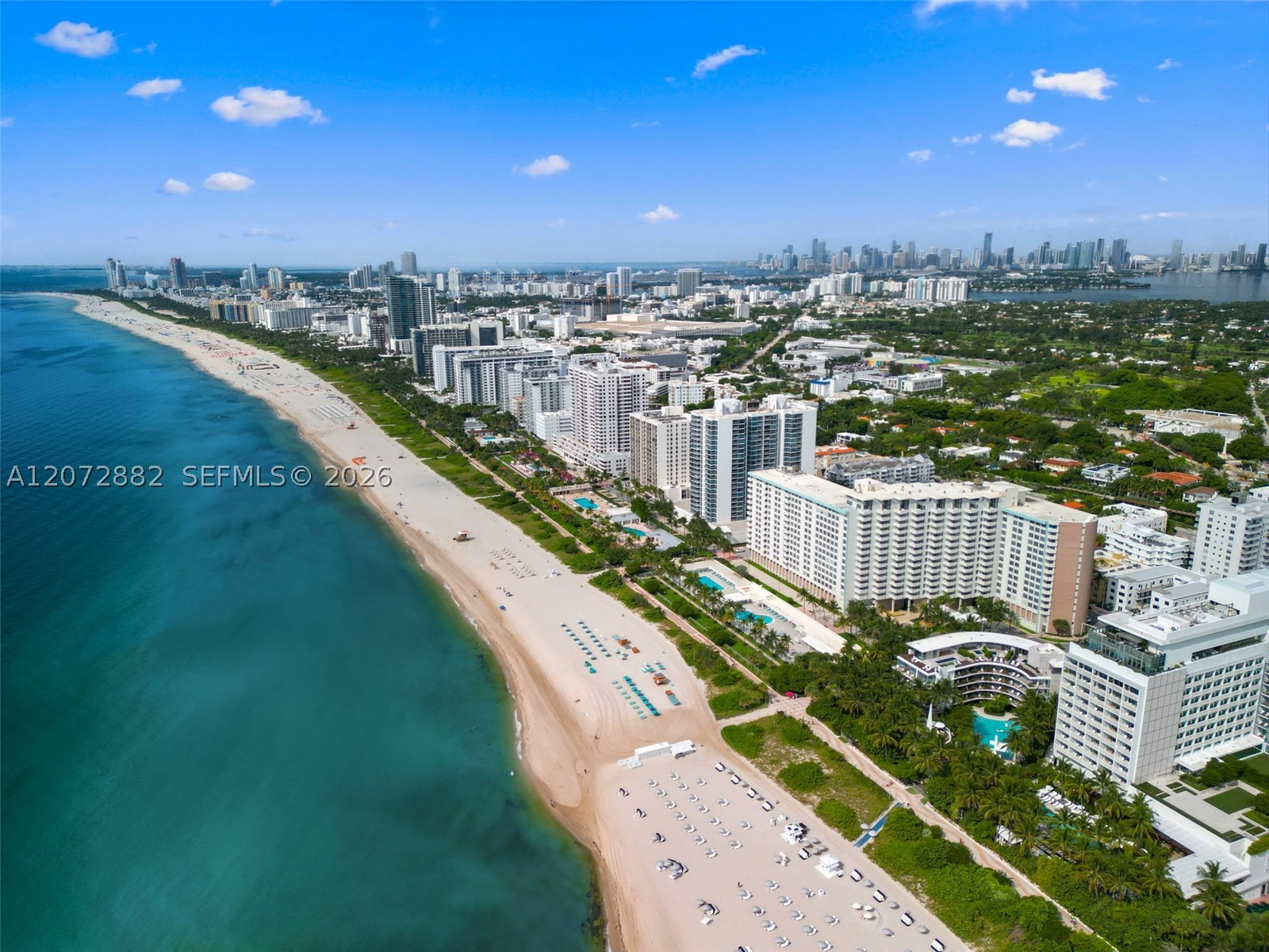 Miami Beach photo 3