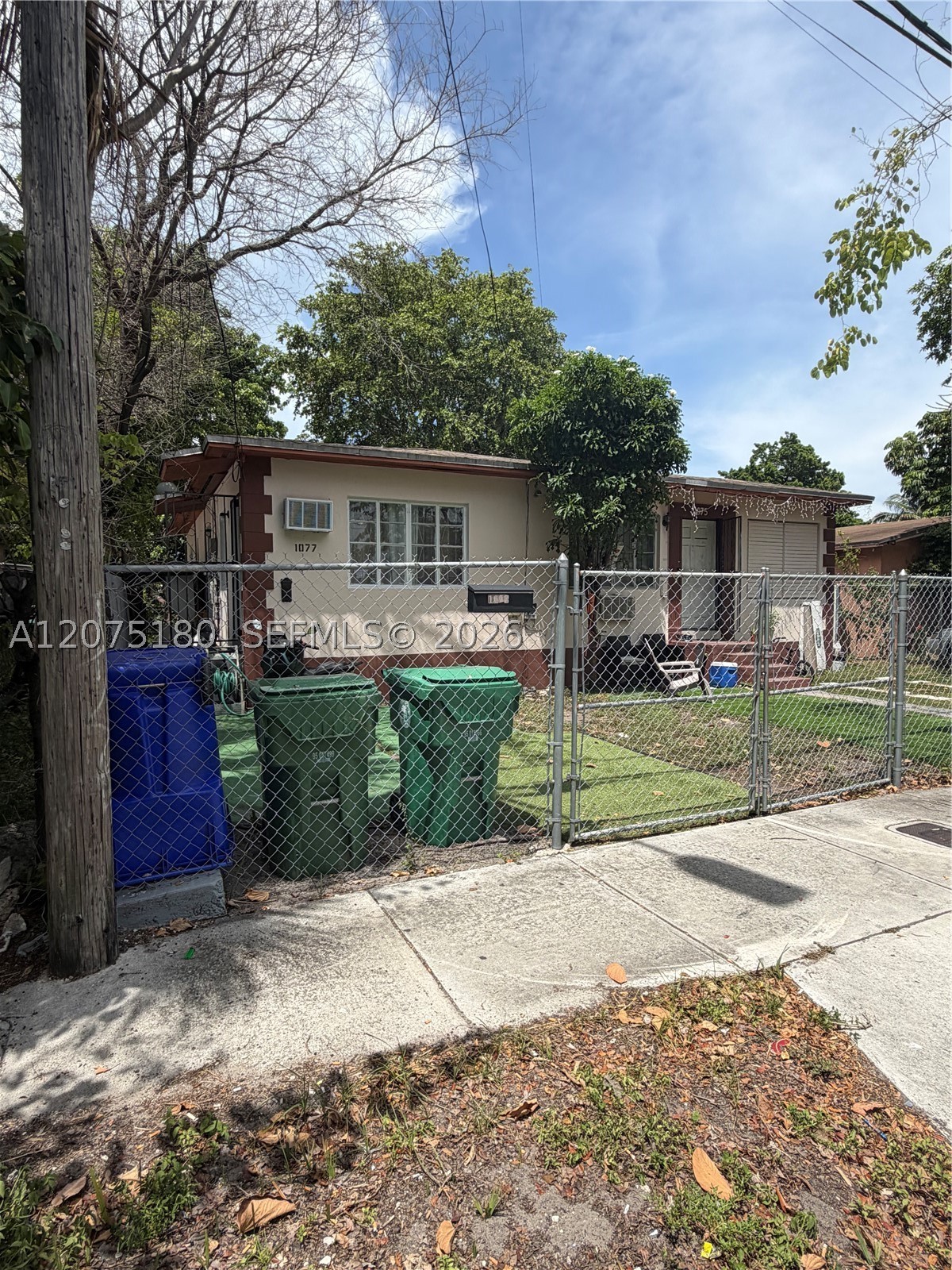 Miami photo 3