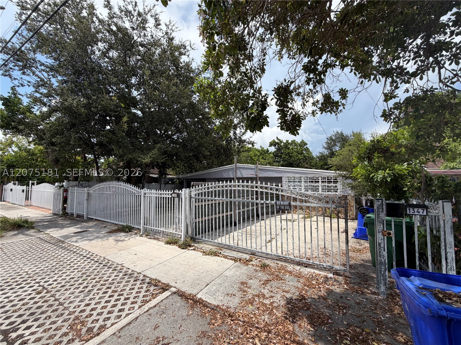 Miami photo 3