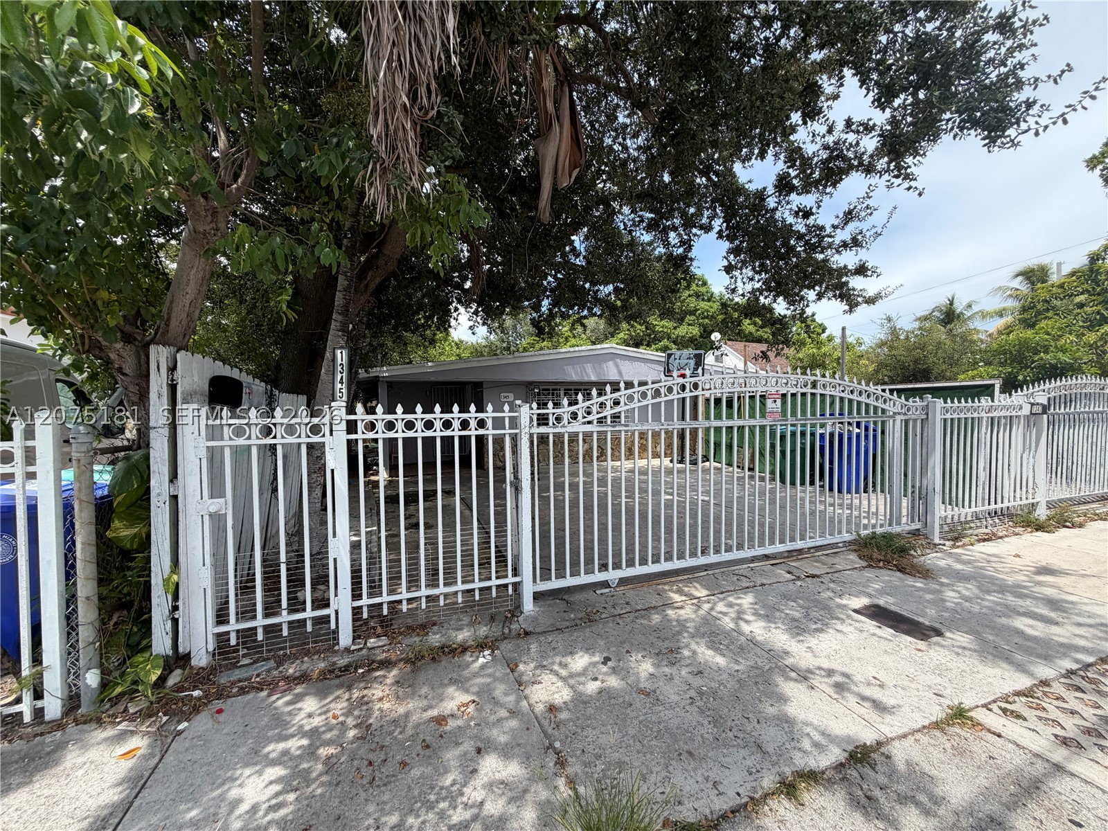 Miami photo 4
