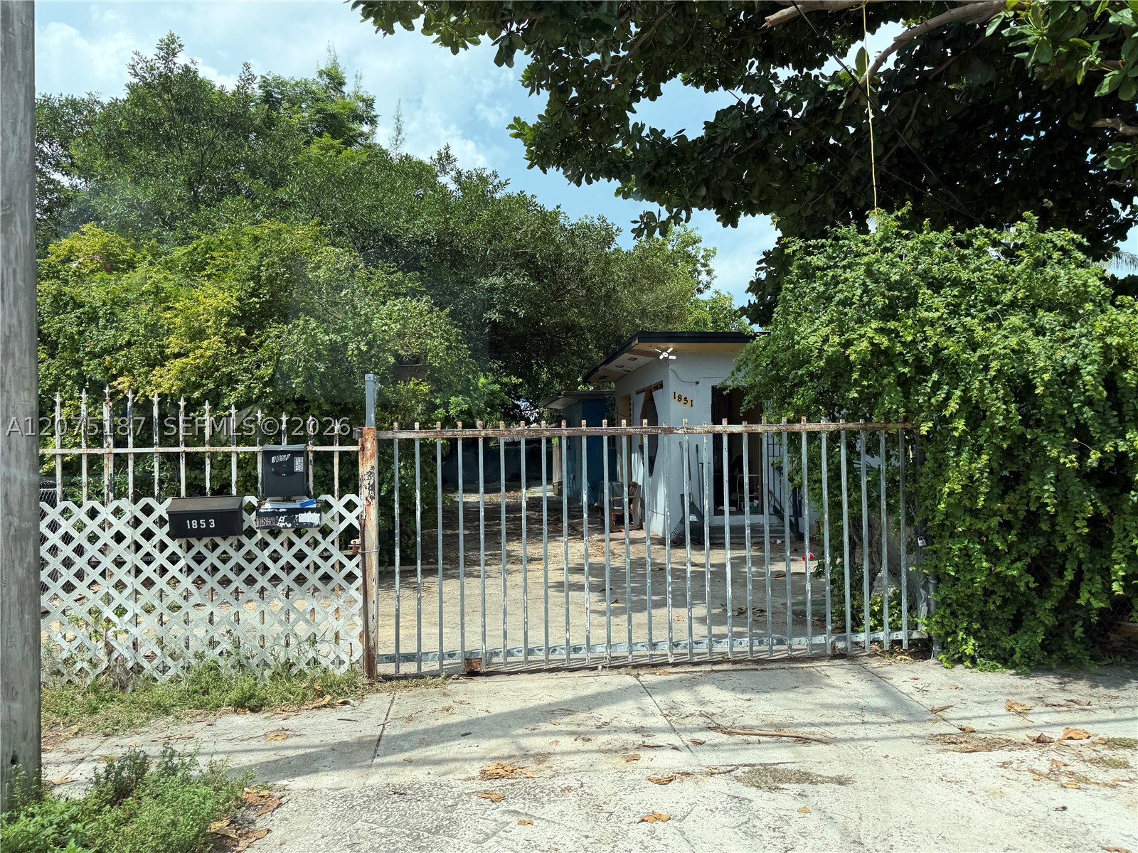 Miami photo 2