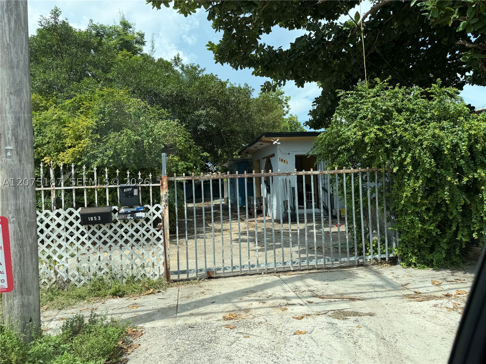 Miami photo 3