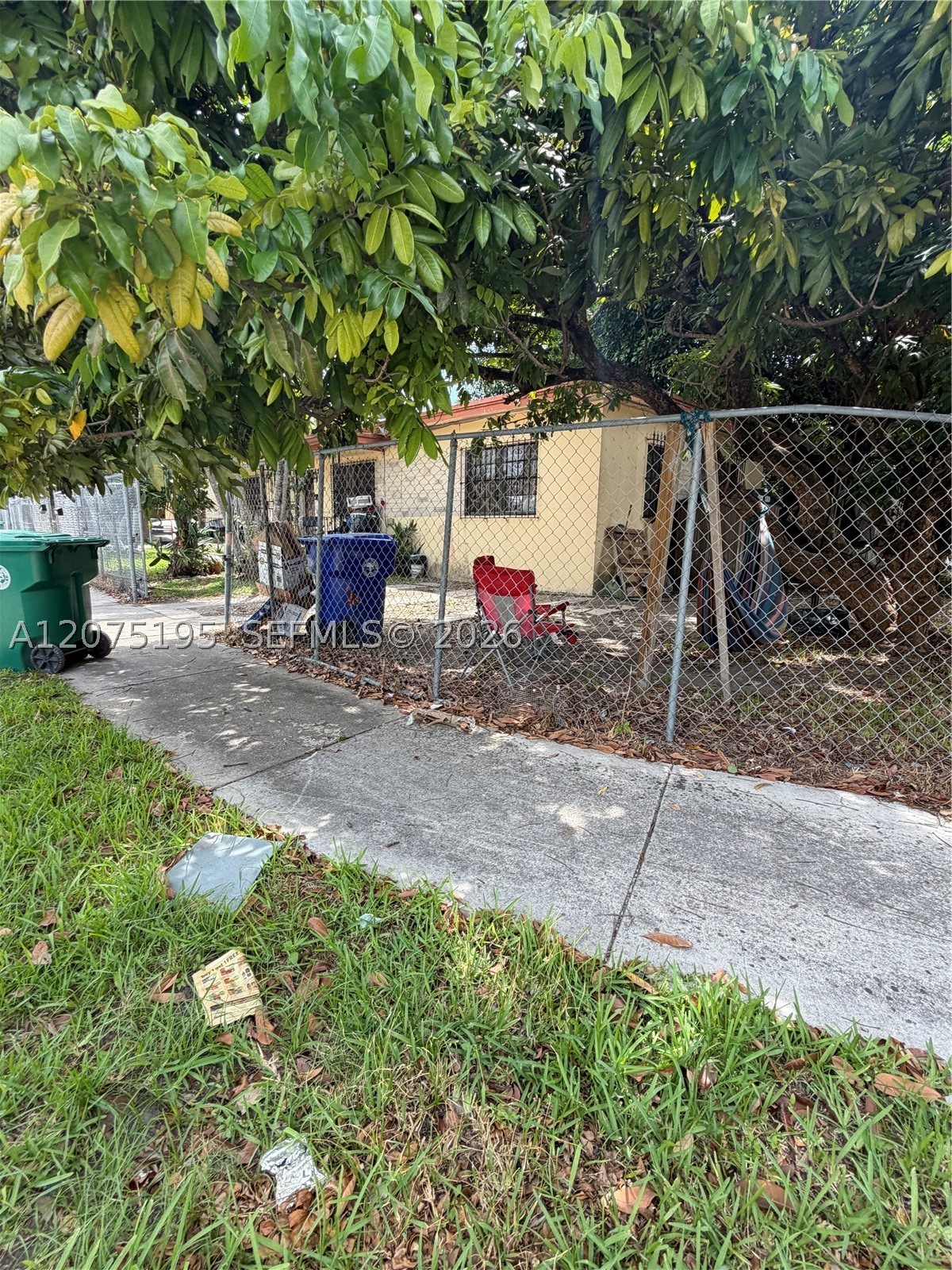 Miami photo 4