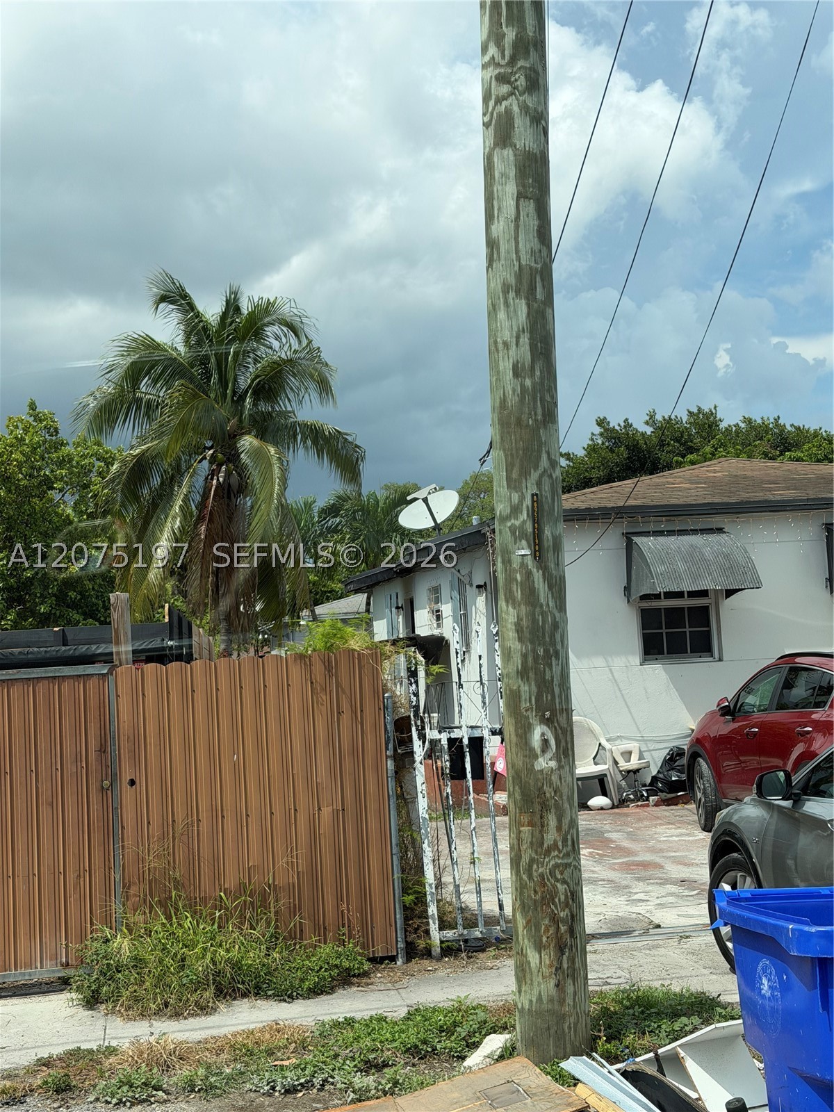 Miami photo 3