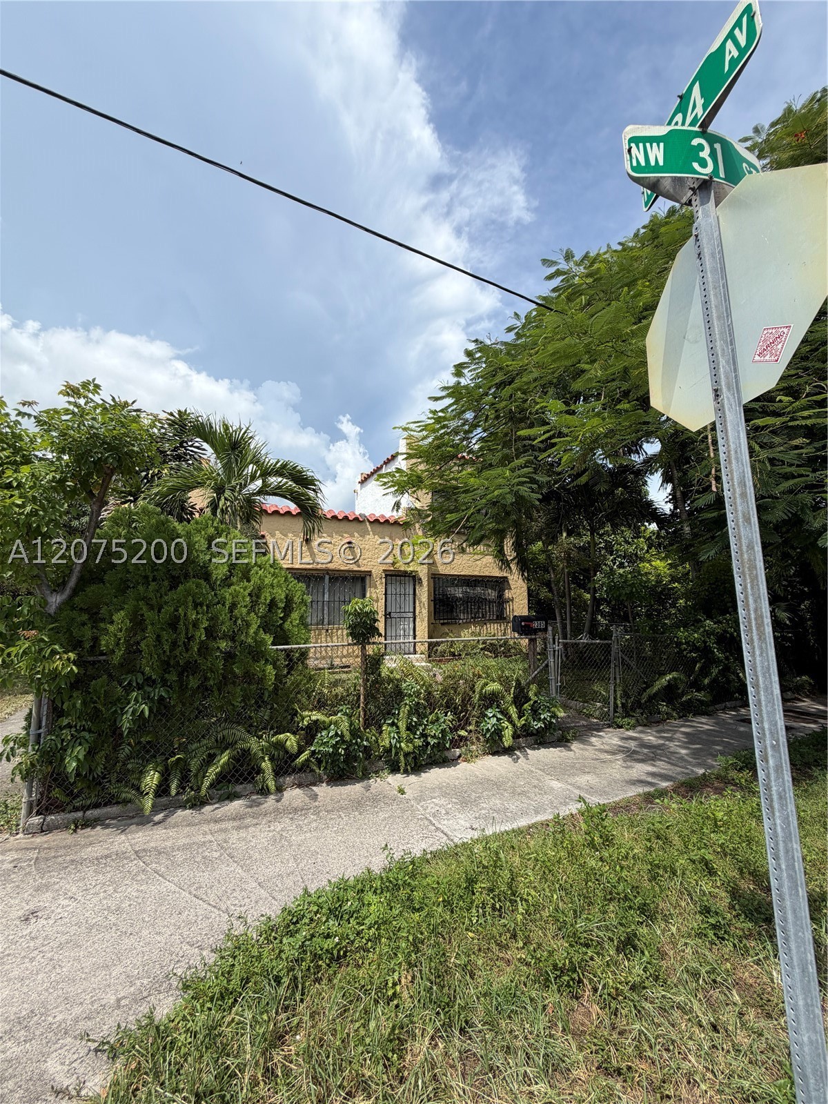 Miami photo 2