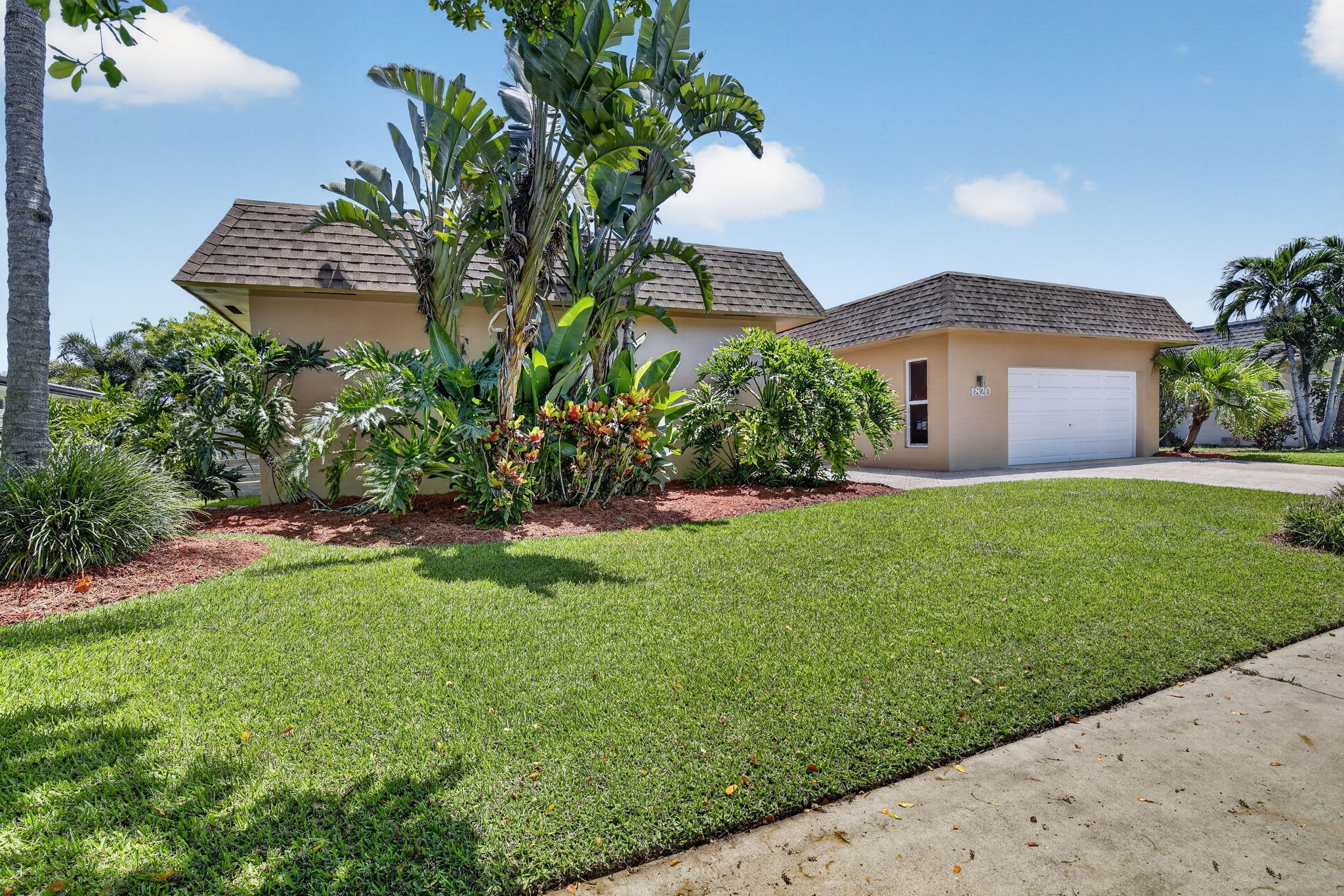 Plantation photo 3