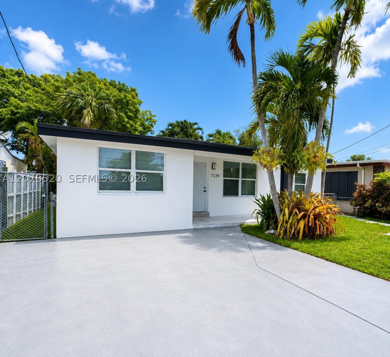 Miami photo 3