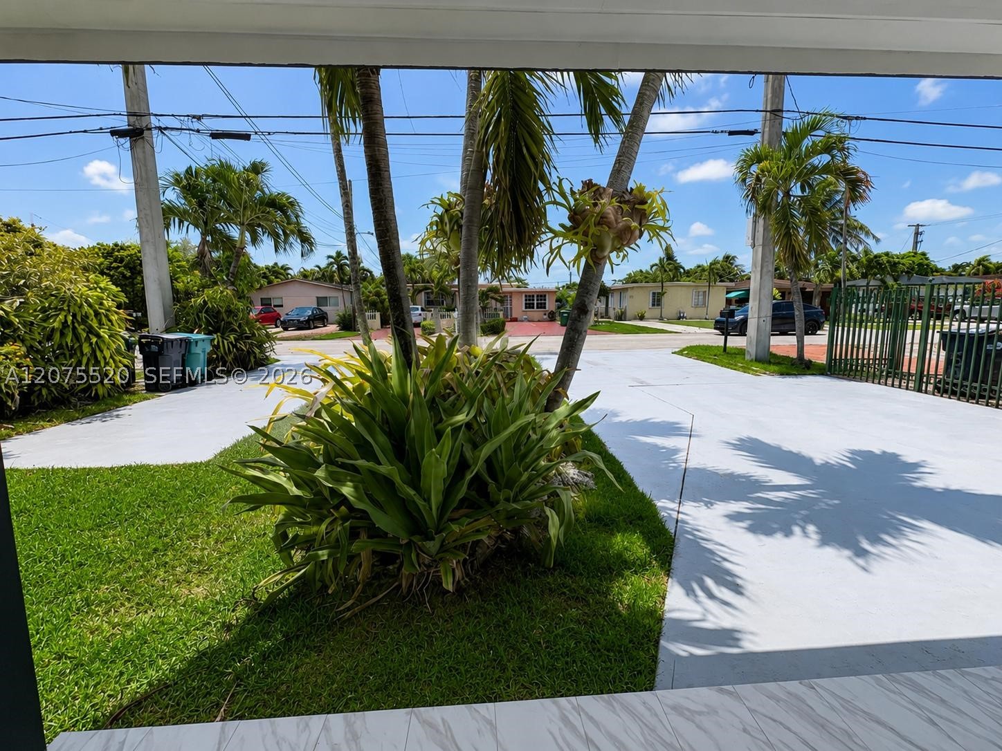 Miami photo 5