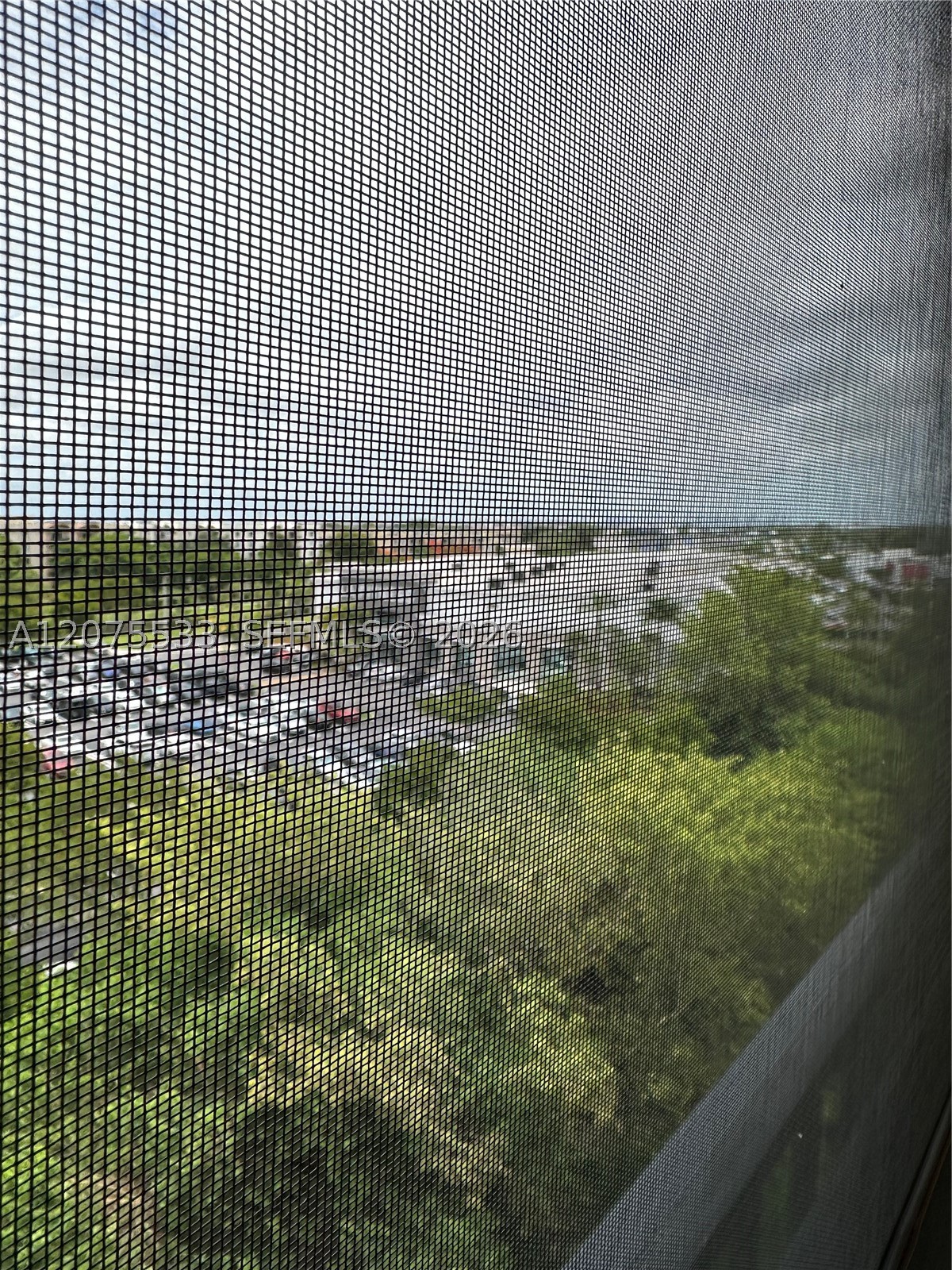 Miami photo 2