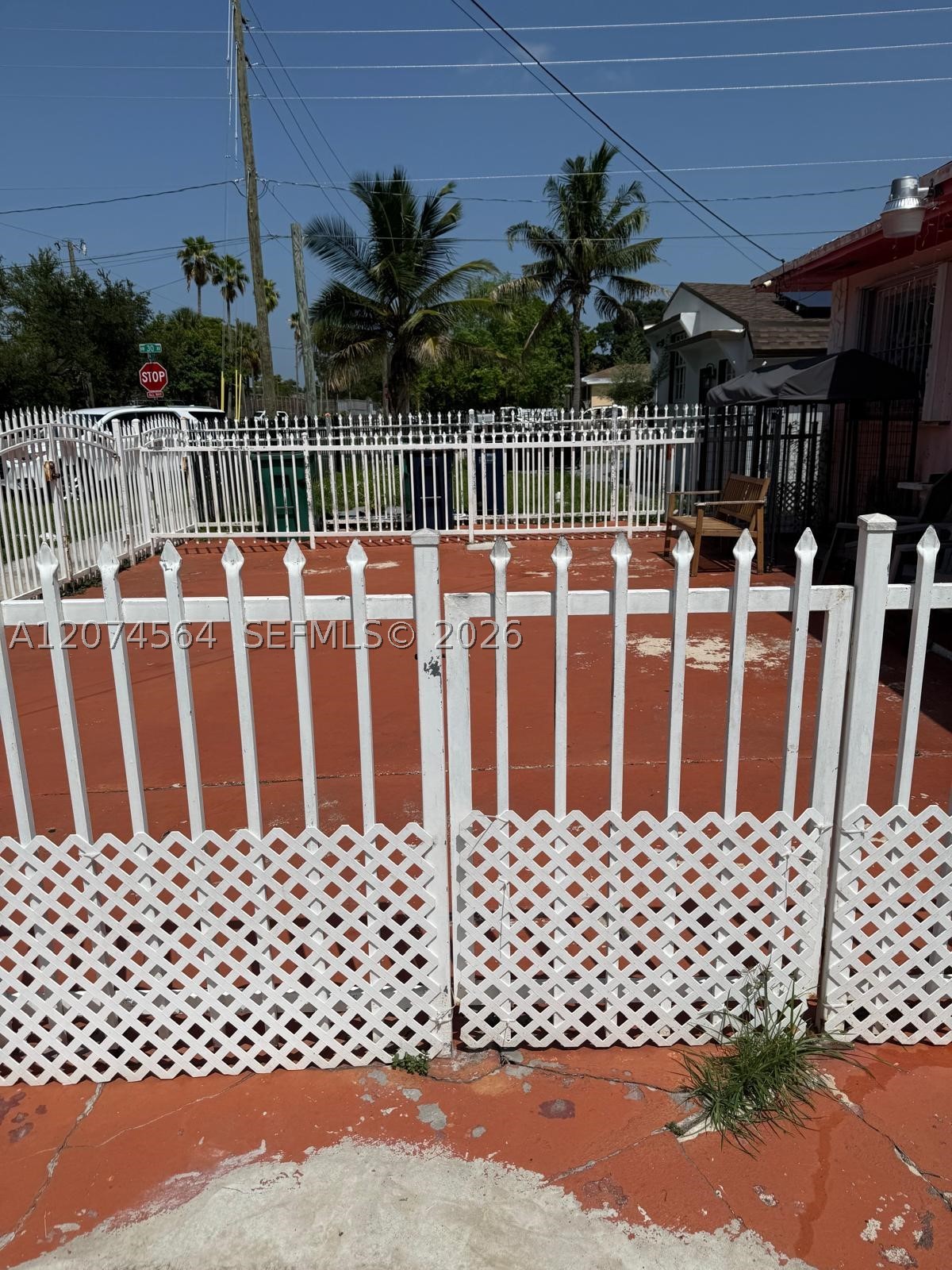 Miami photo 5