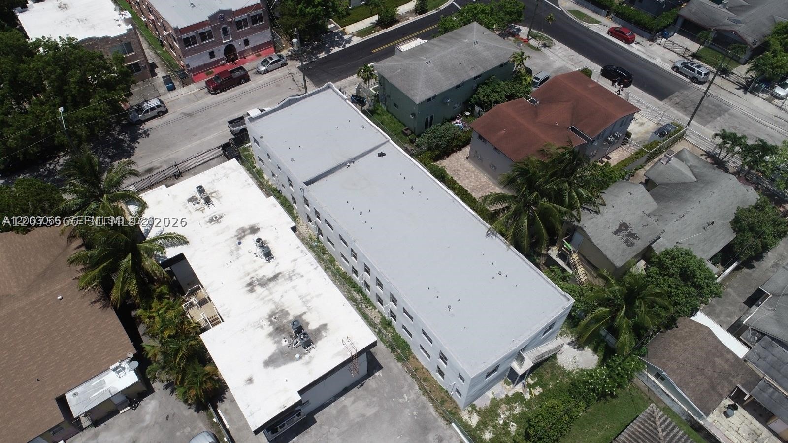 Miami photo 5