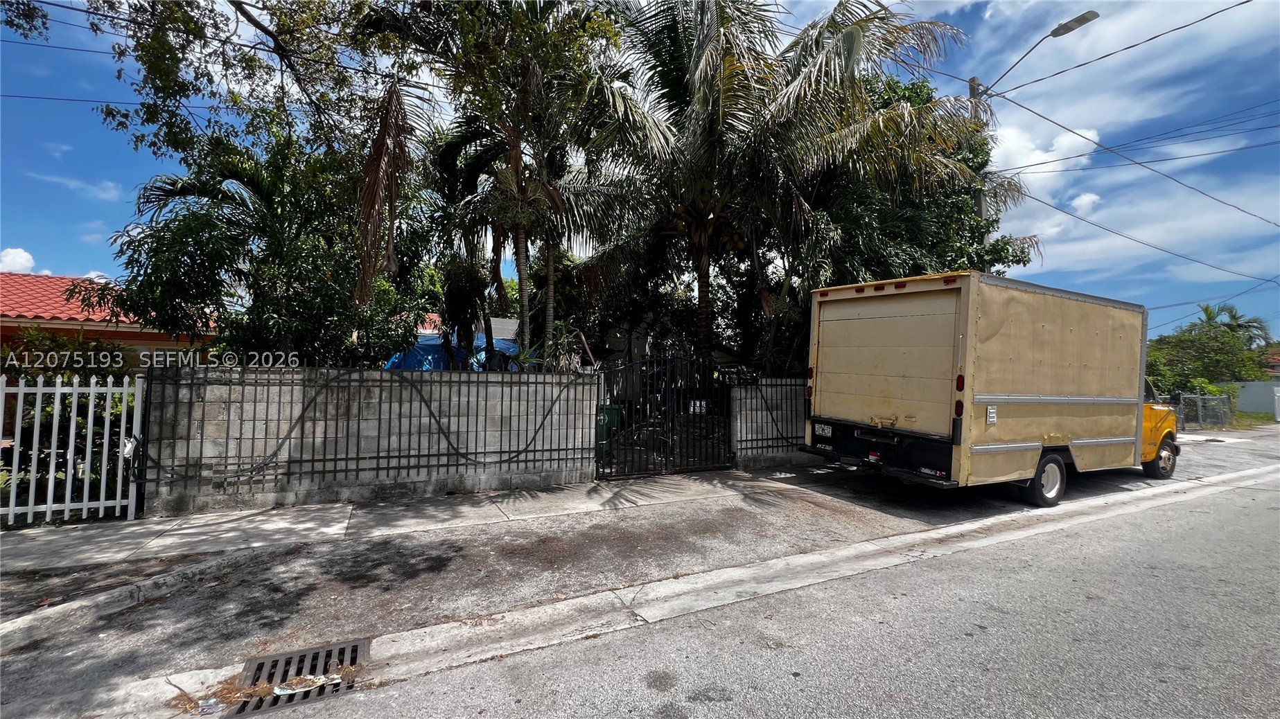 Miami photo 4