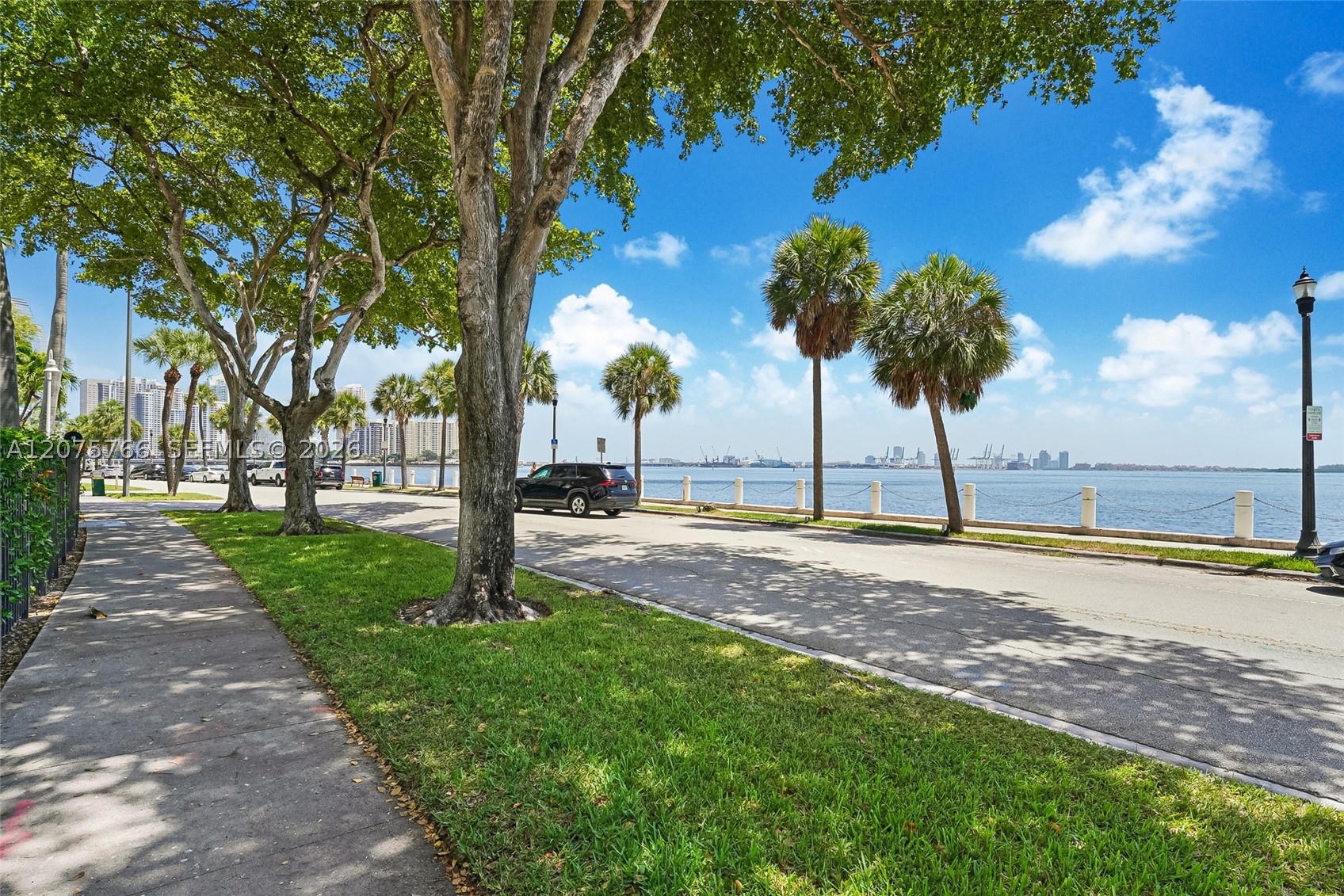 Miami photo 3