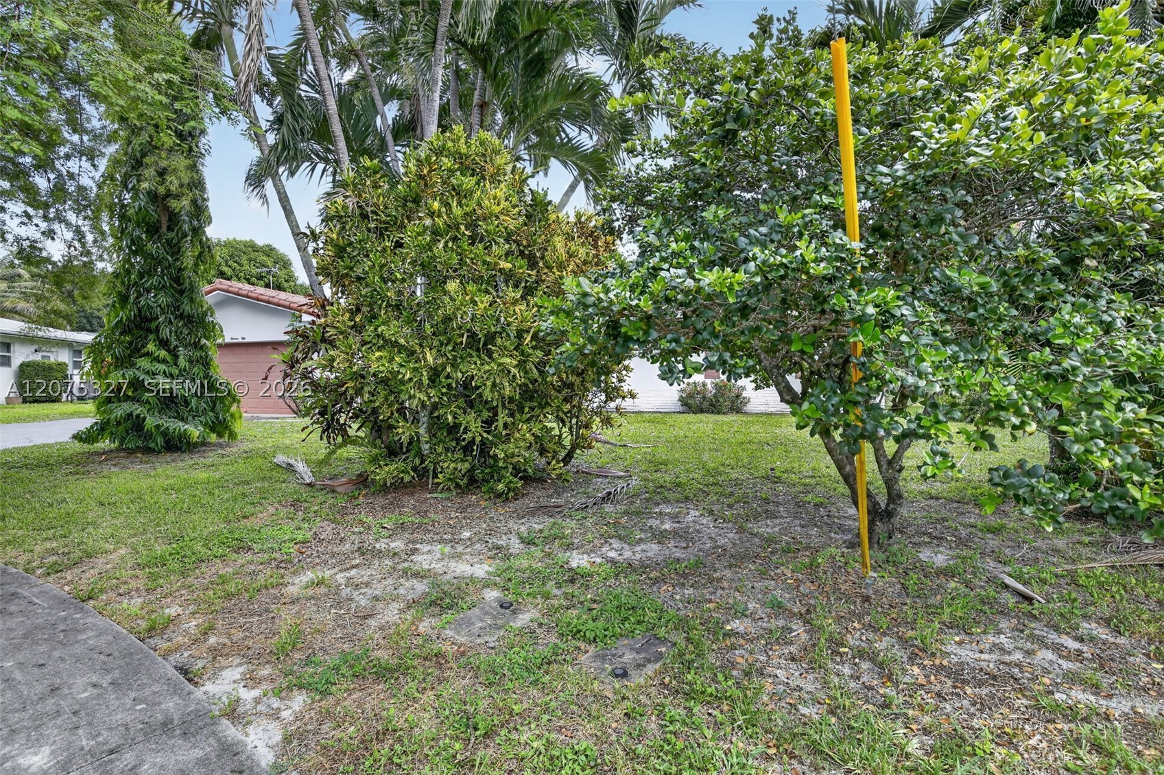 Plantation photo 3