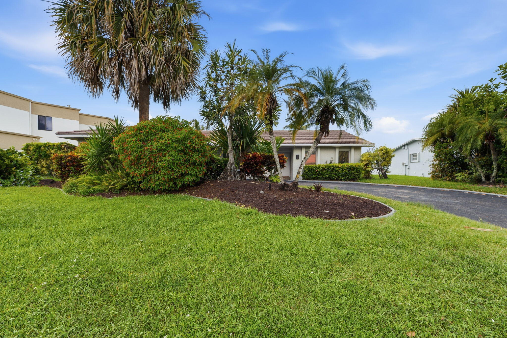 Plantation photo 4