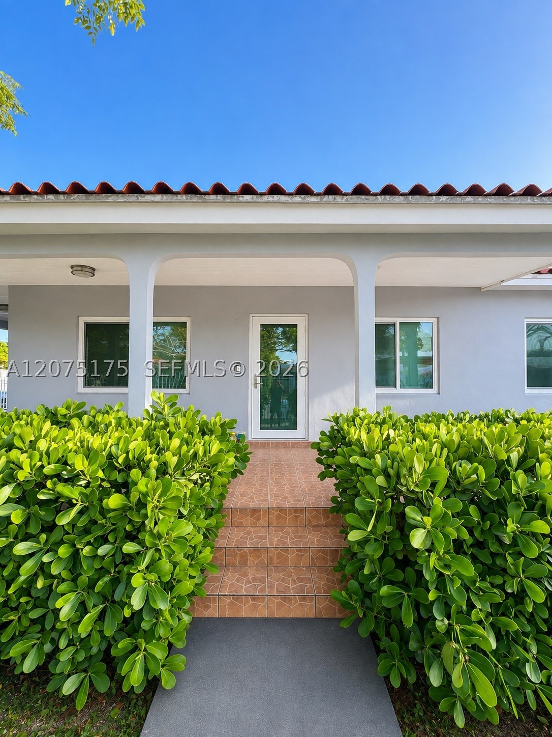 Miami photo 1