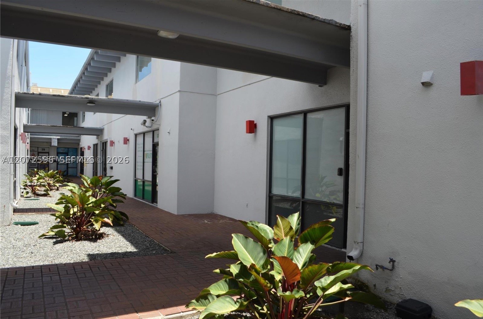 Miami photo 2