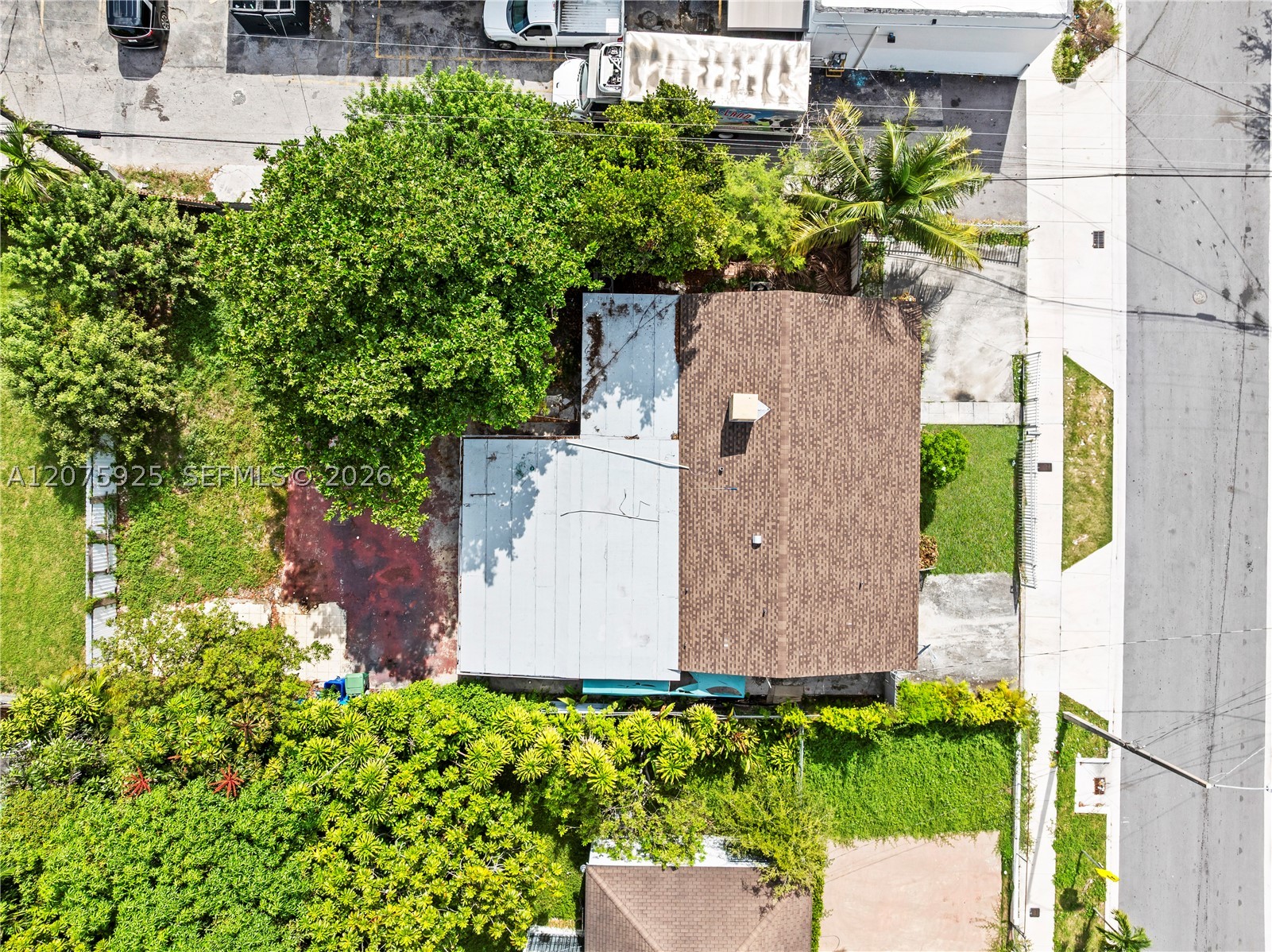 Miami photo 3