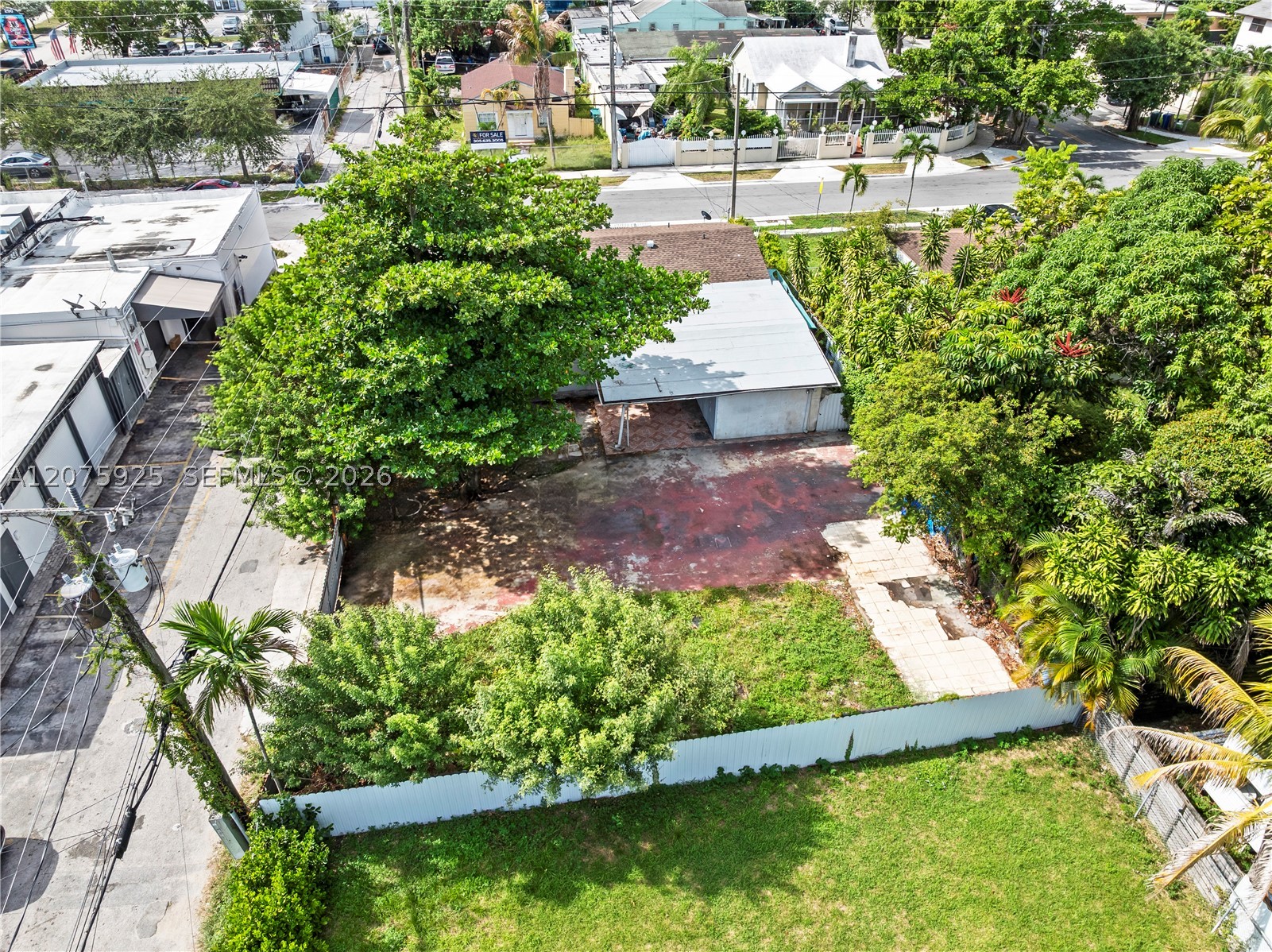 Miami photo 5