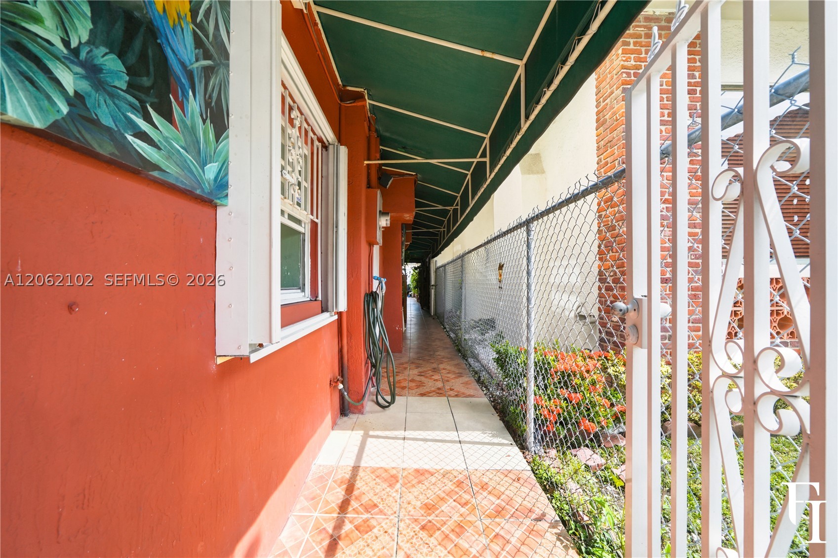 Miami photo 5