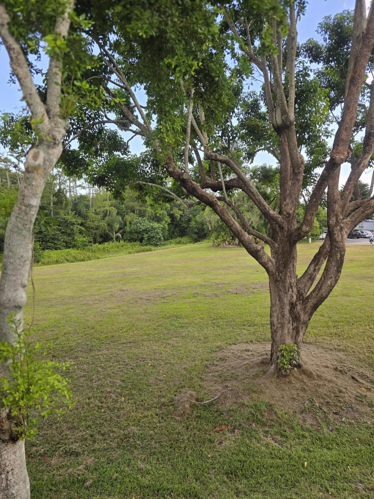 Delray Beach photo 2
