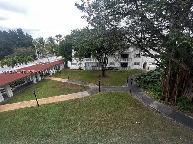 Miami photo 5