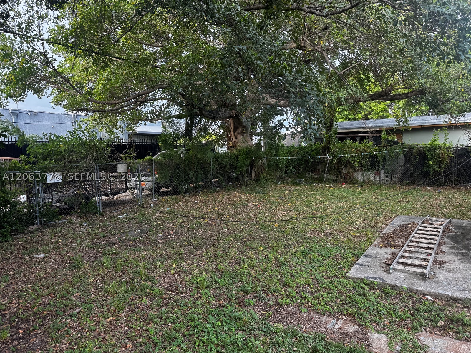 Miami photo 3