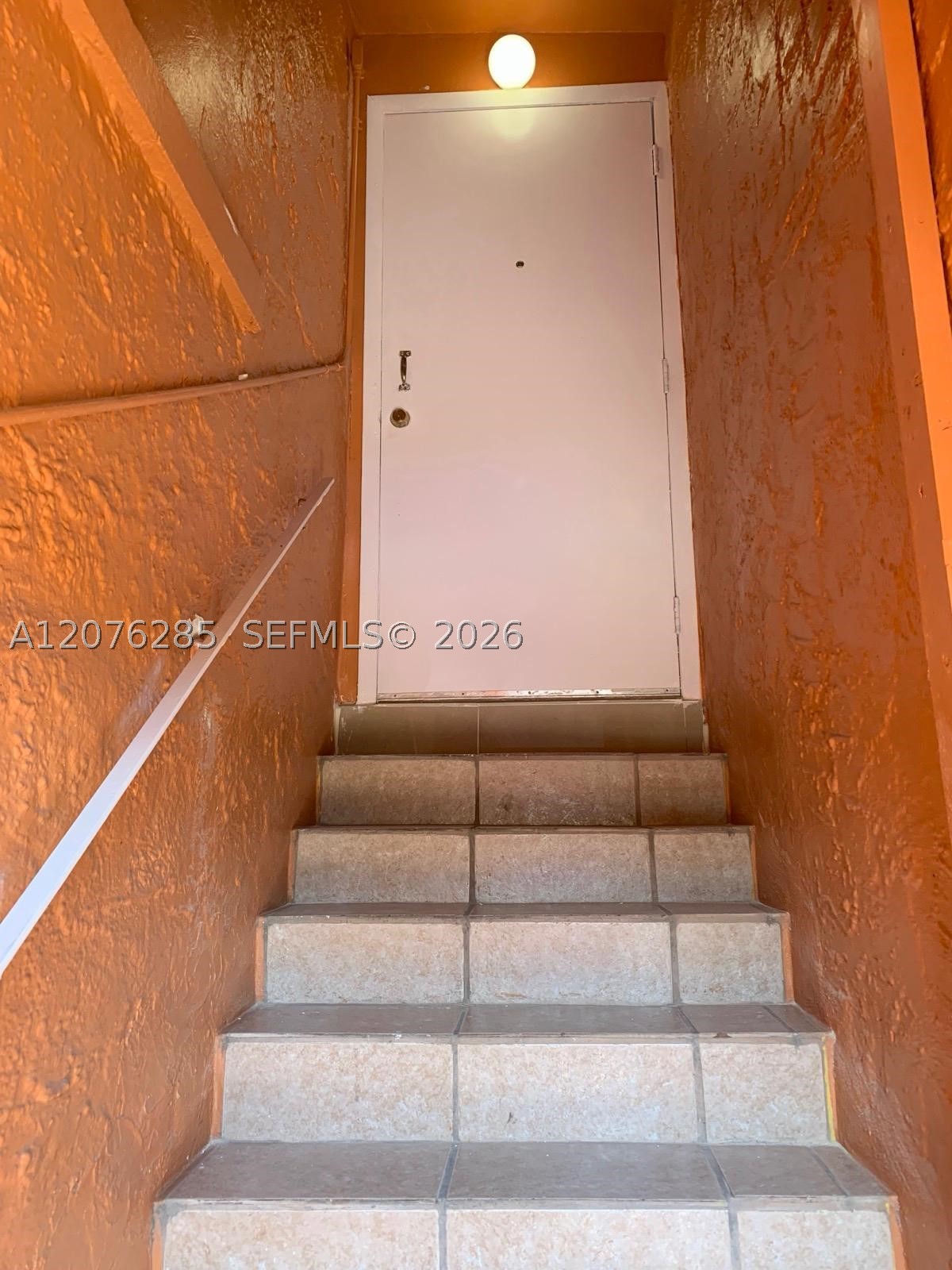 Miami photo 3