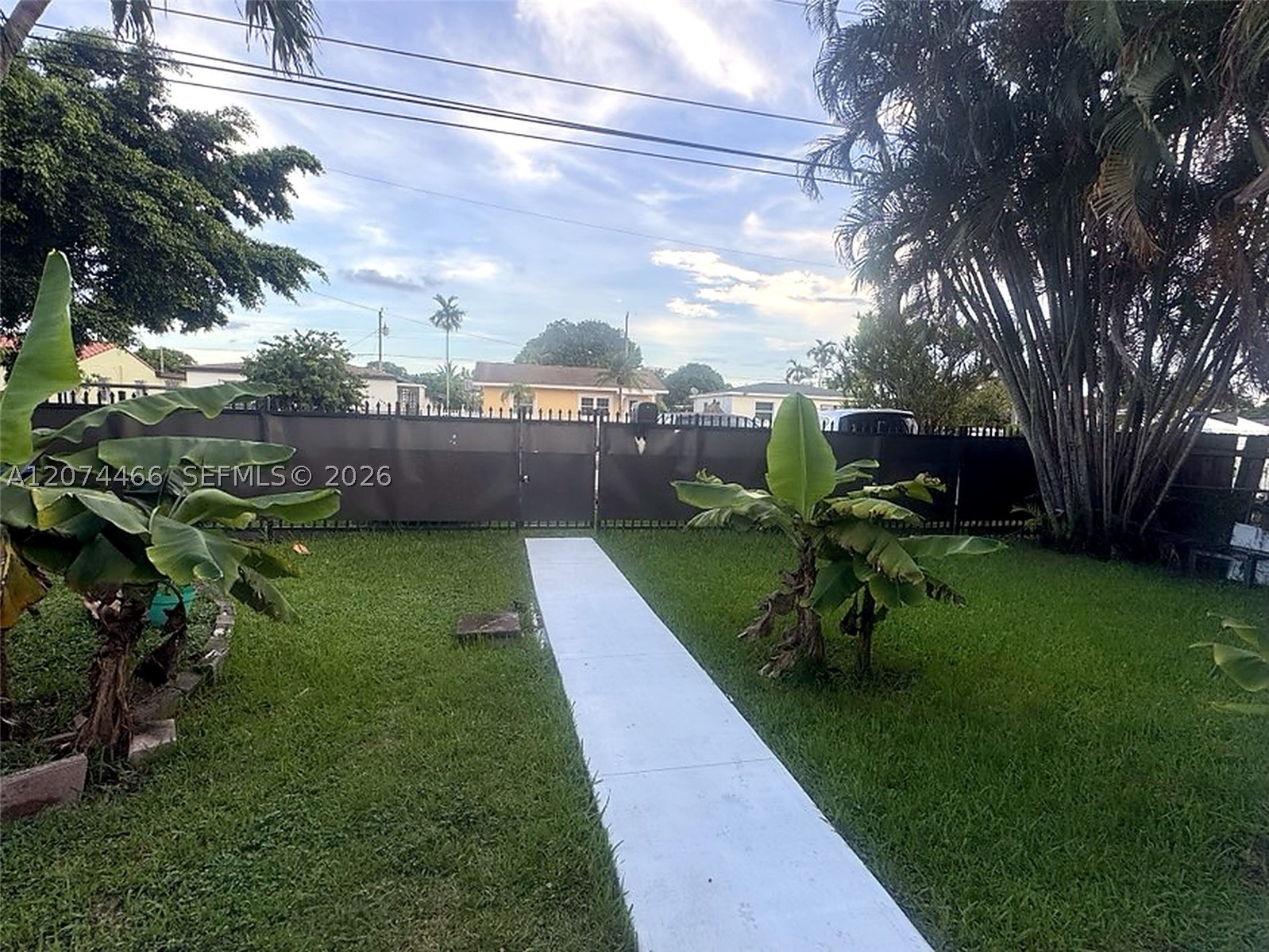 Miami photo 3