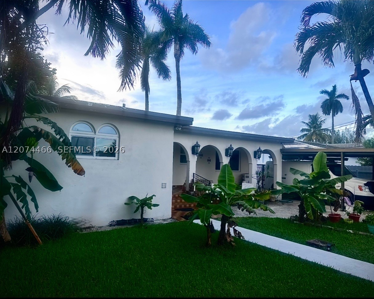 Miami photo 4